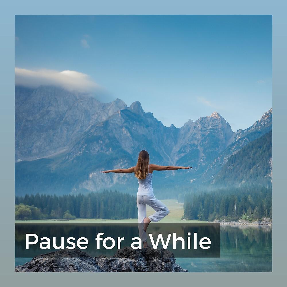 Релиз Pause for a While