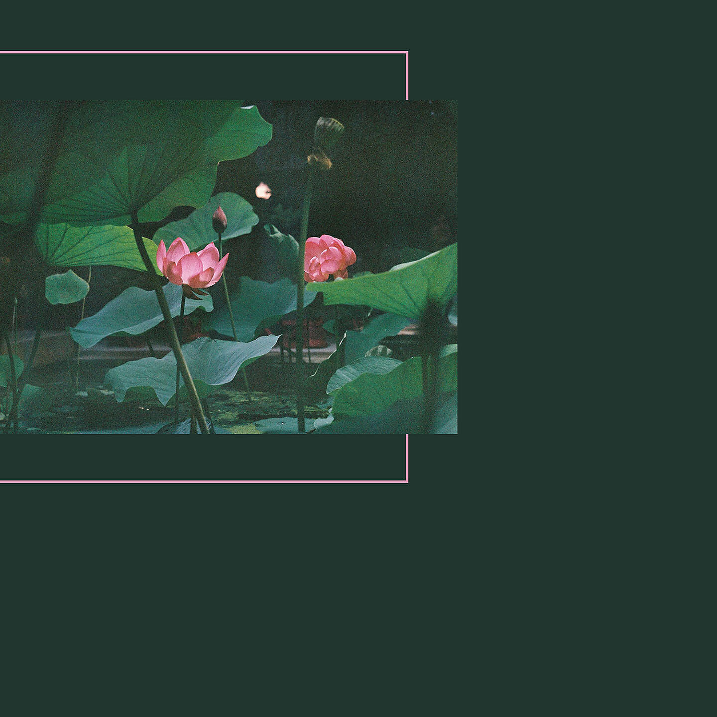 Релиз Нарушая связи