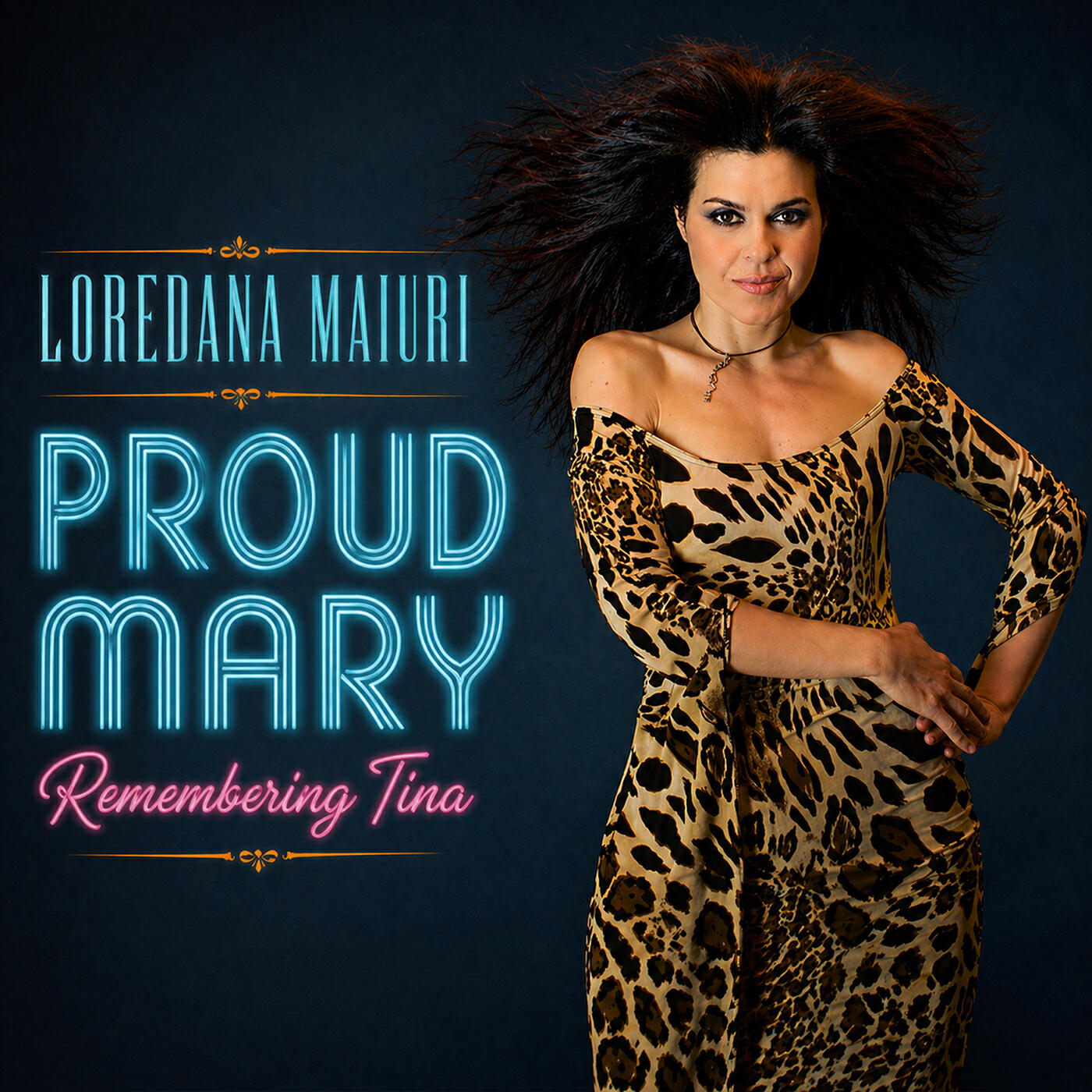 Релиз Proud Mary (Remembering Tina)