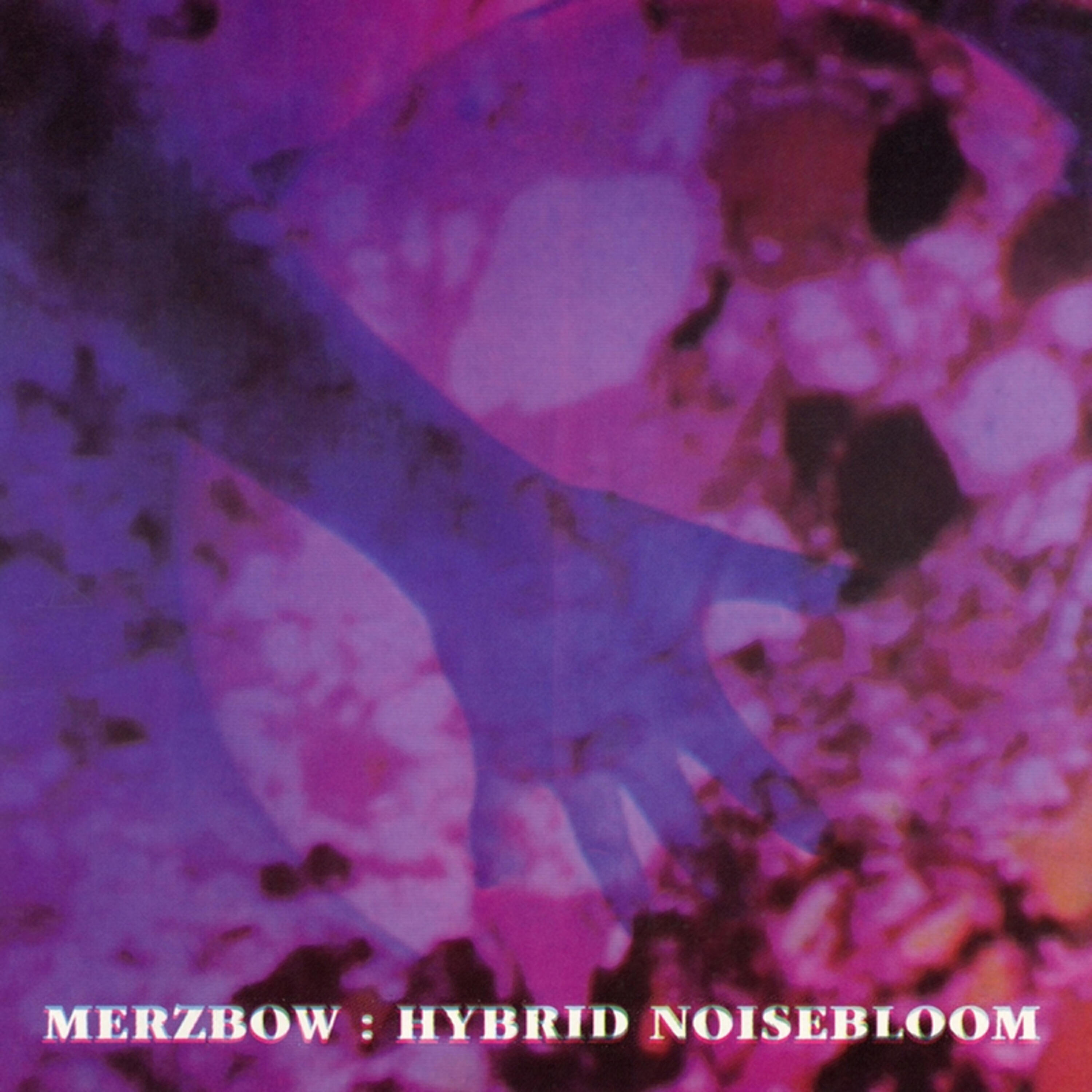 Релиз Hybrid Noisebloom