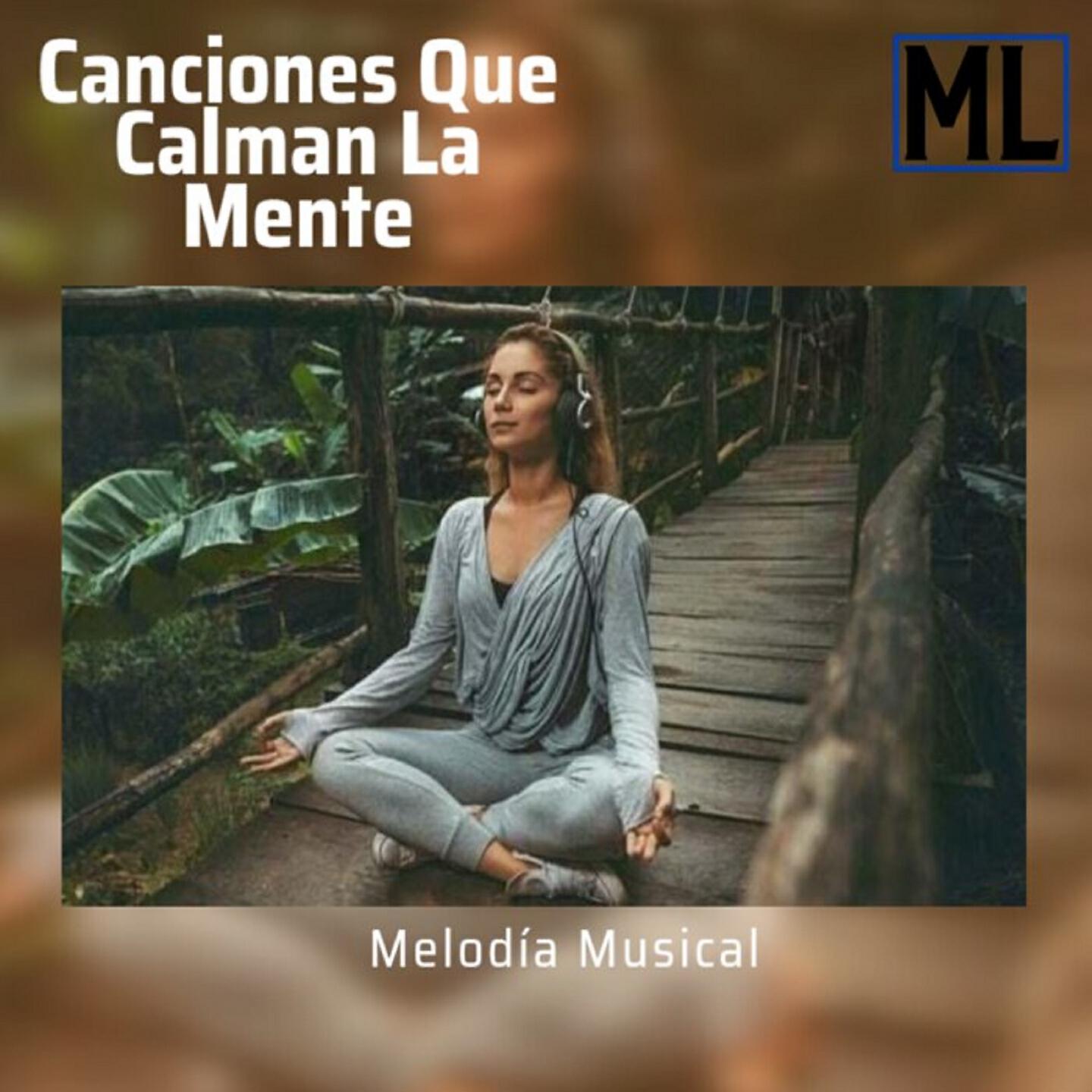 Релиз Canciones Que Calman la Mente