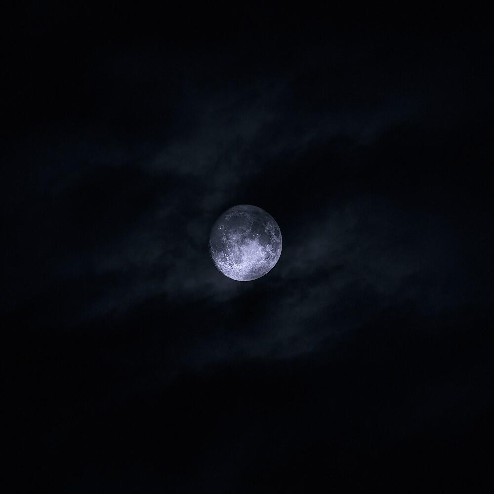 Релиз Moonlight