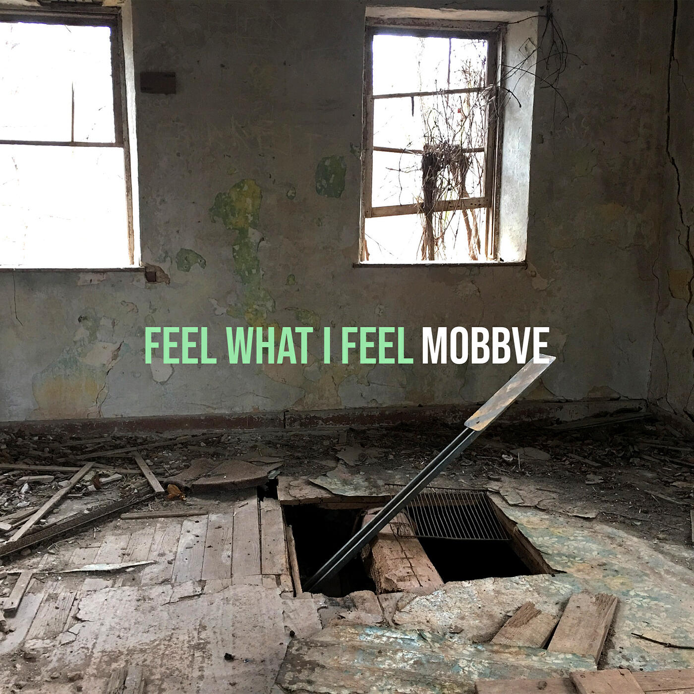 Релиз Feel What I Feel