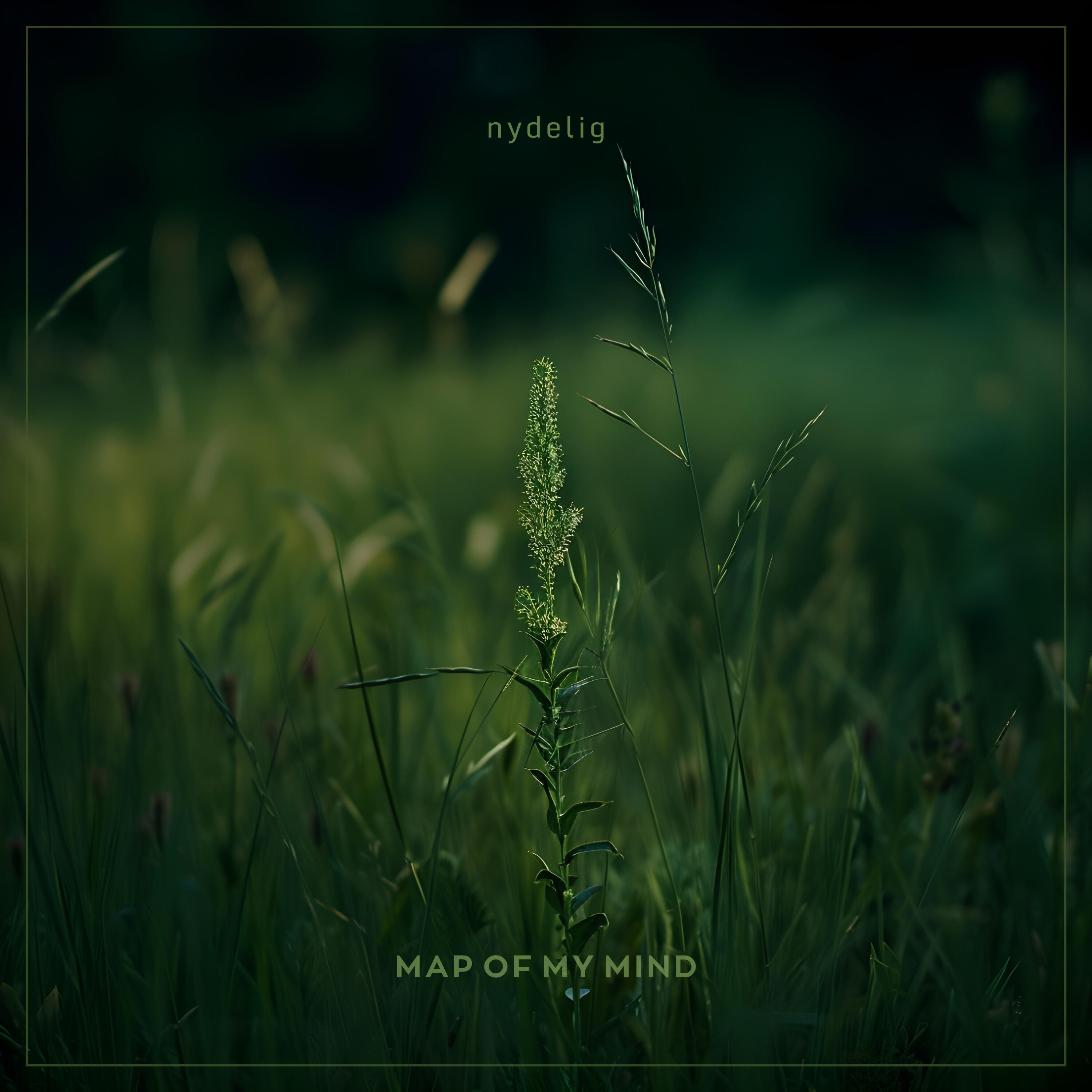 Релиз nydelig