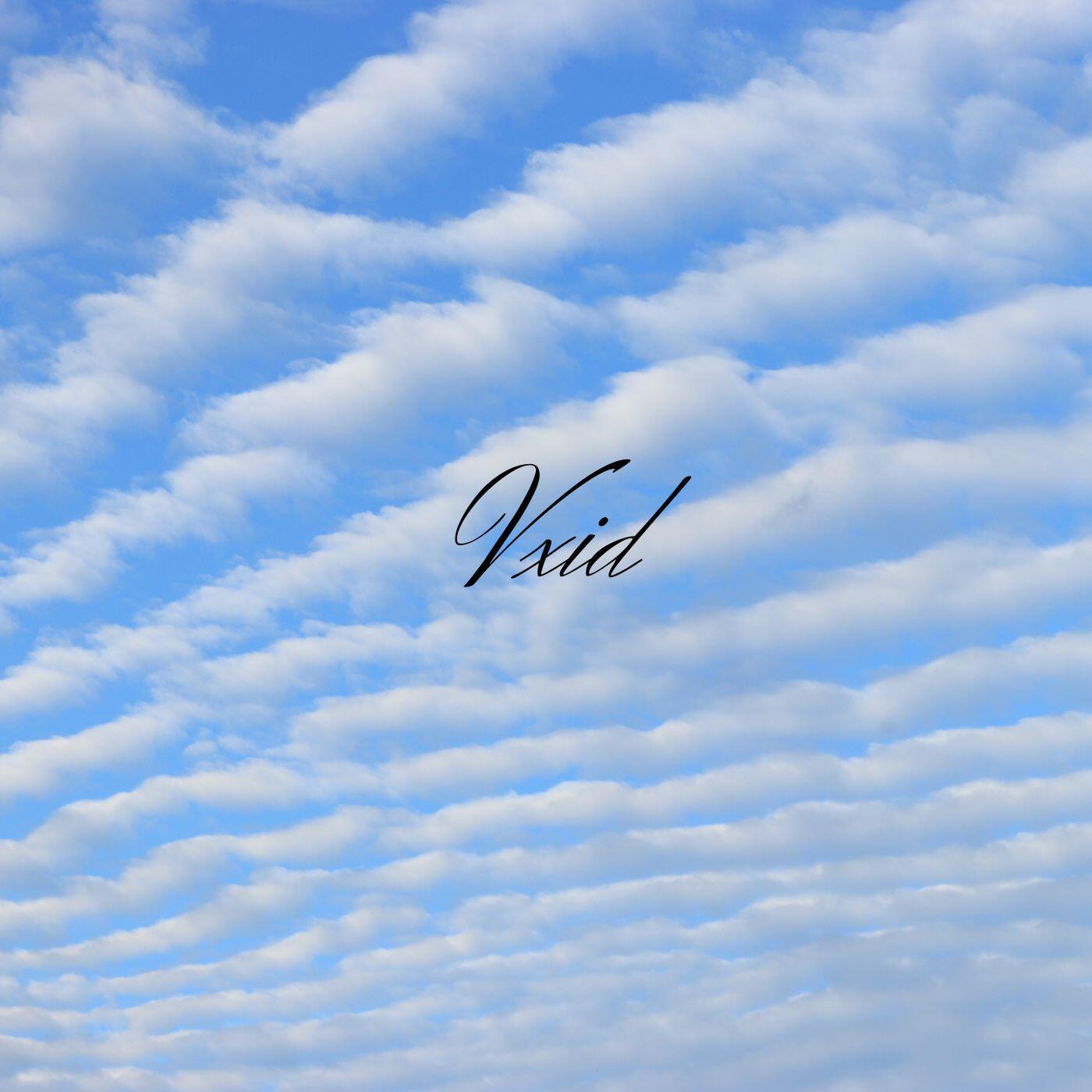 Релиз Vxid