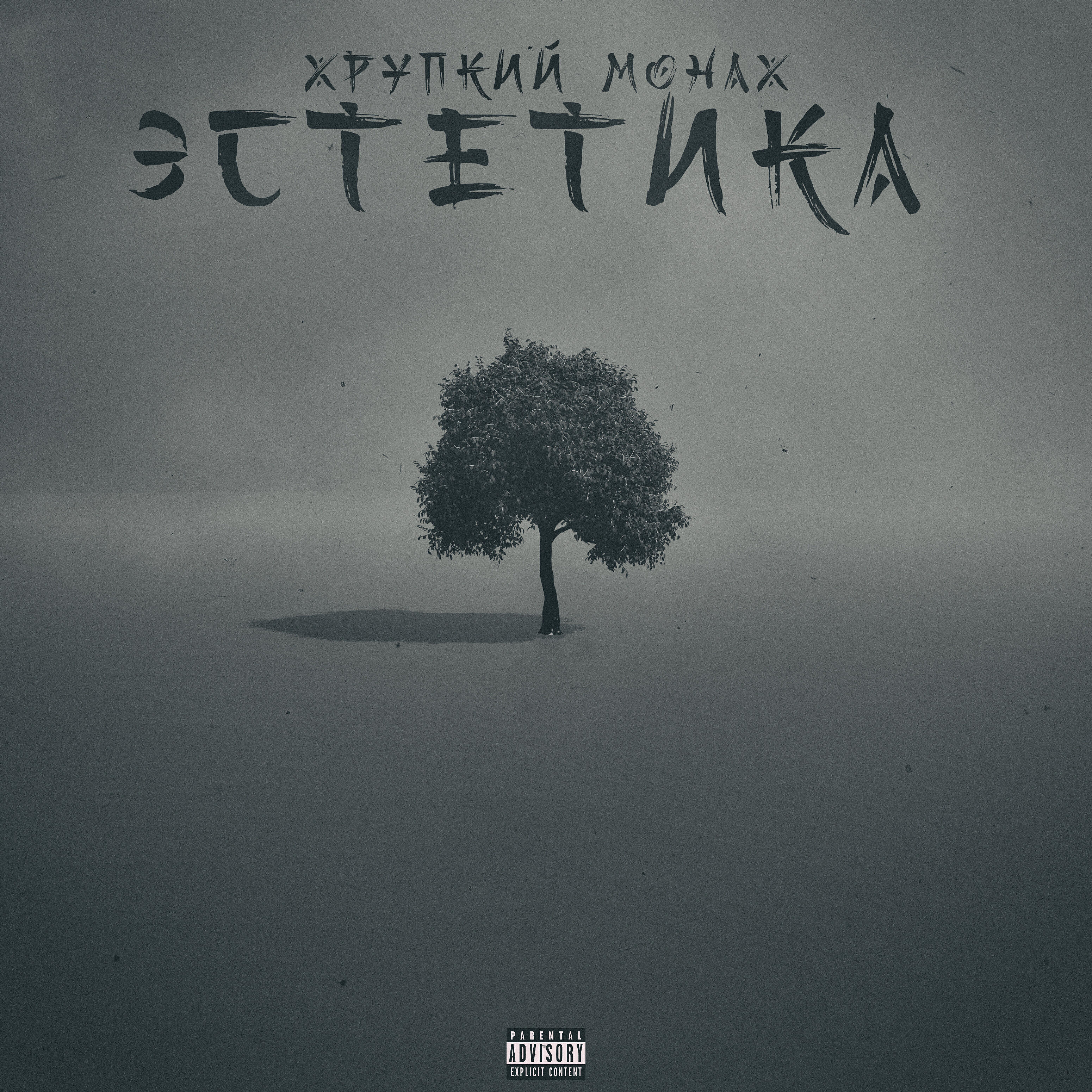 Релиз Эстетика