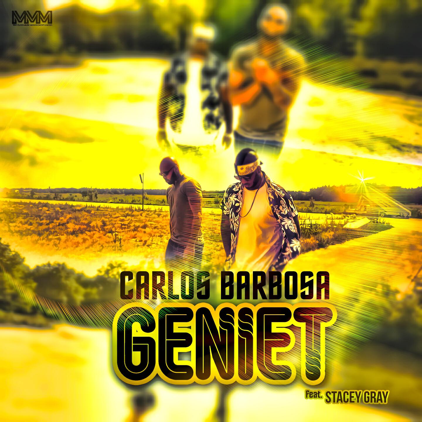 Релиз Geniet
