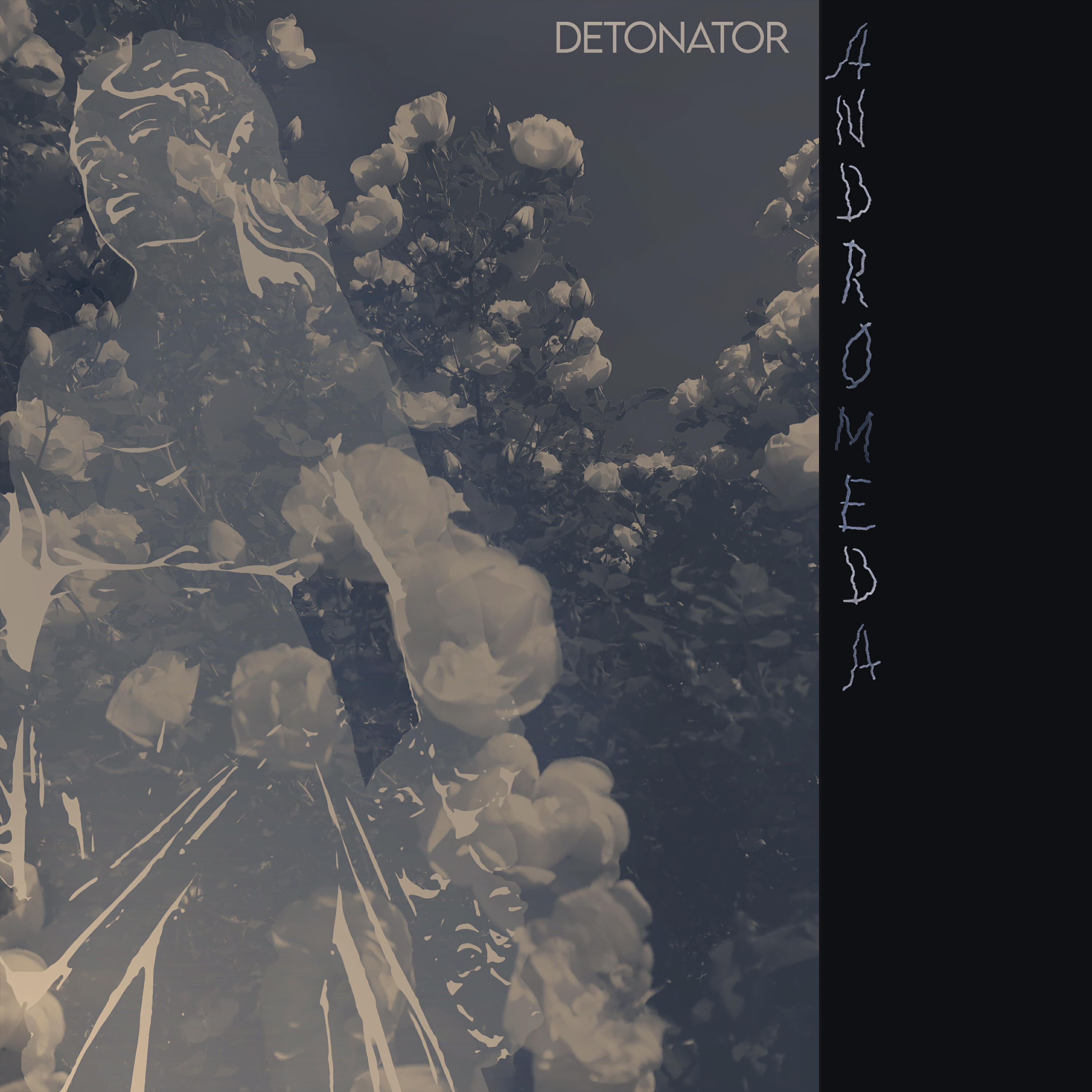 Релиз Andromeda