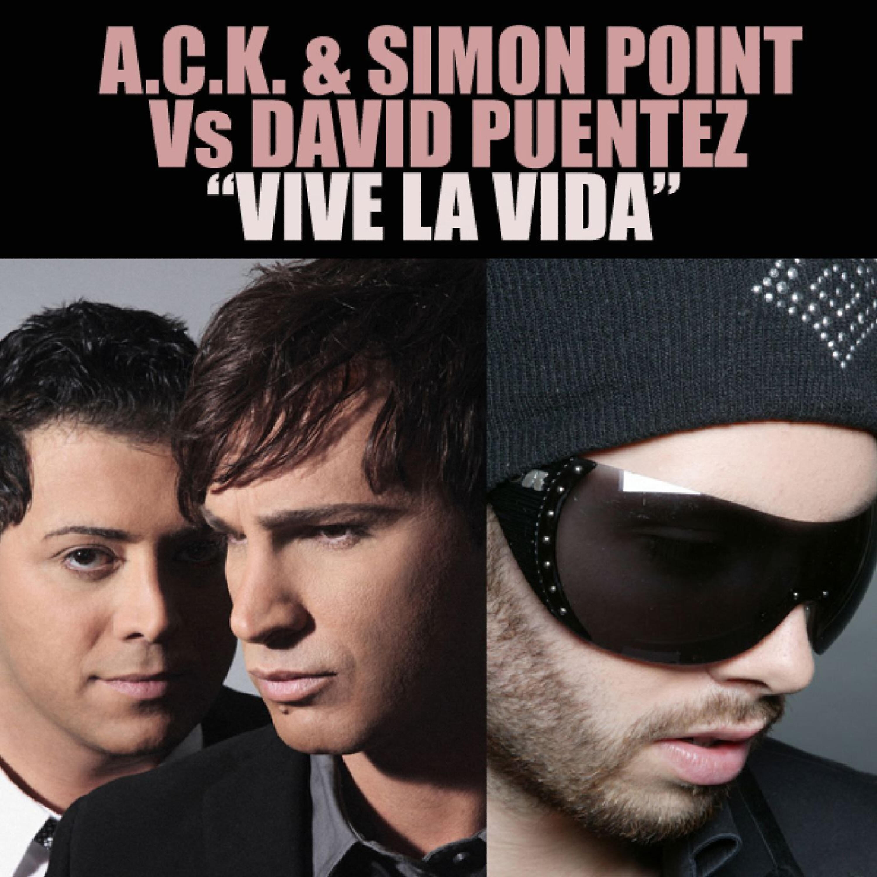 Релиз Vive La Vida 2010 REMIXES