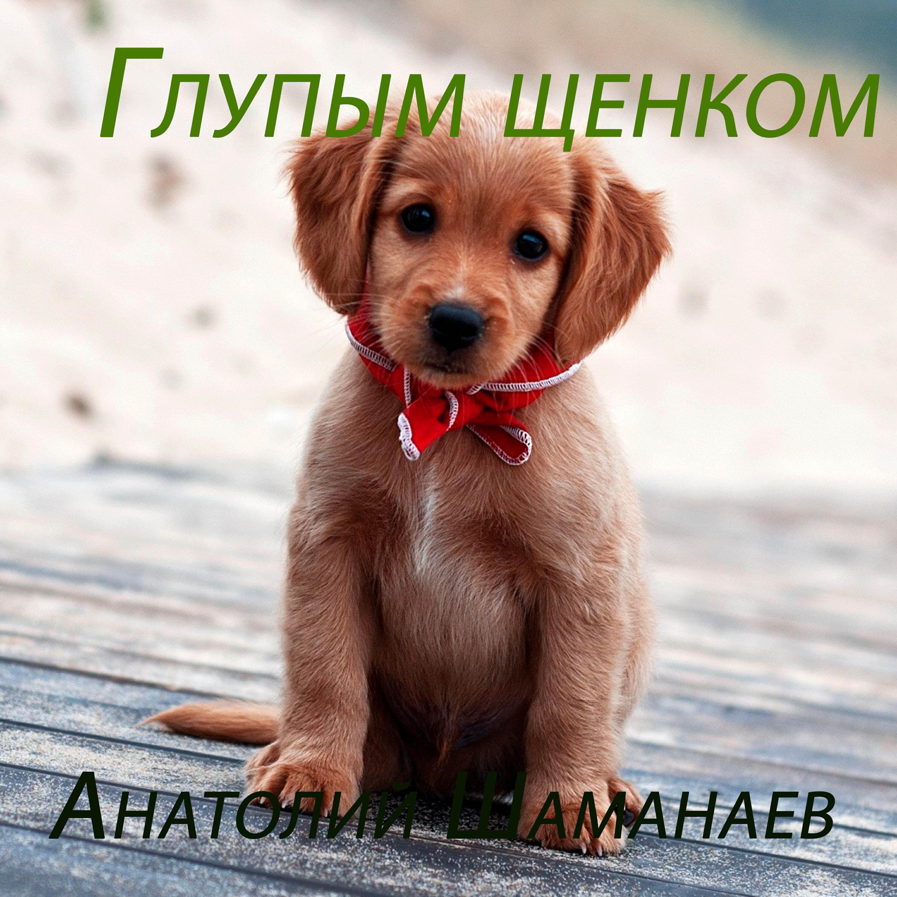 Релиз Глупым щенком