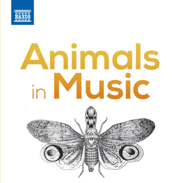Релиз Animals in Music