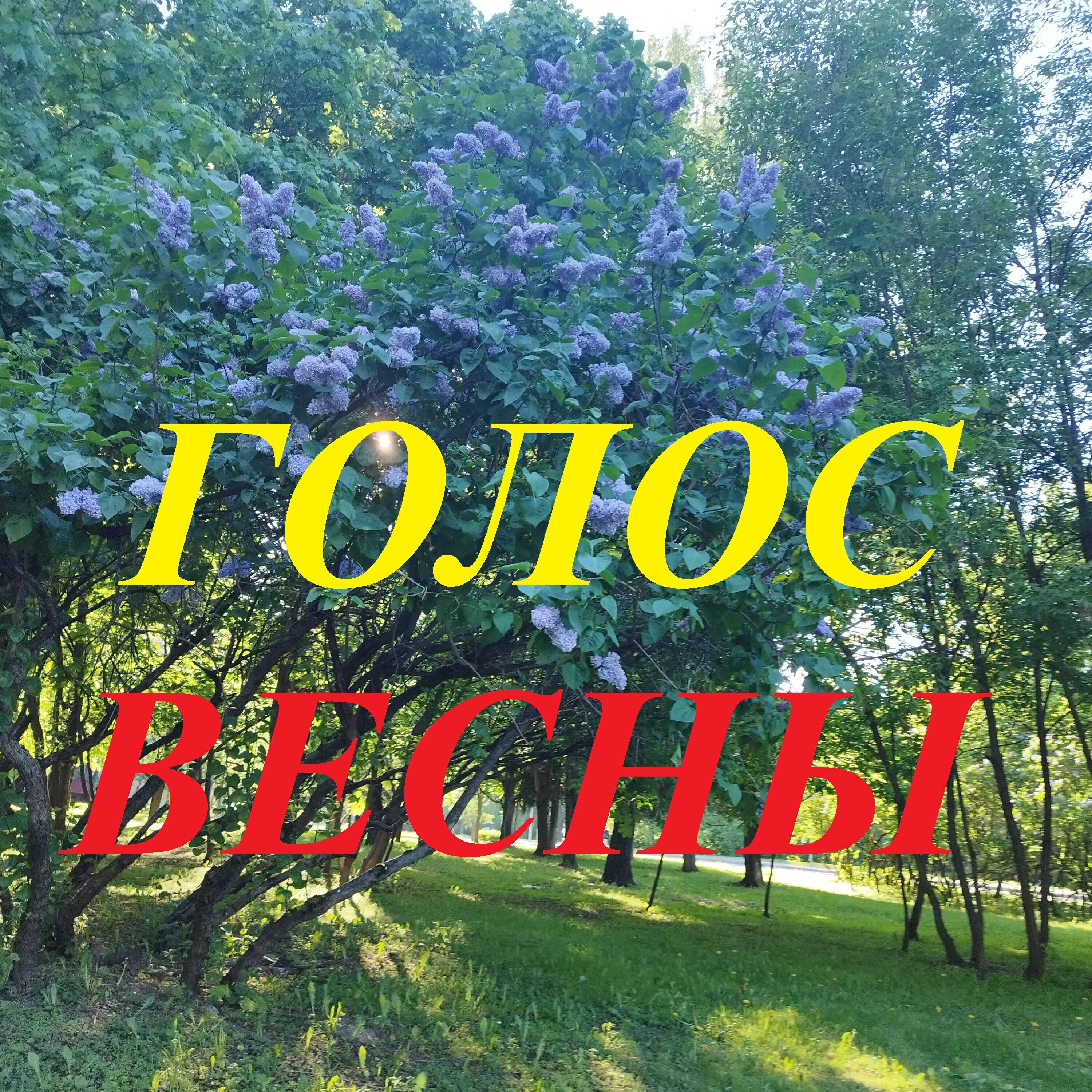 Релиз Голос весны