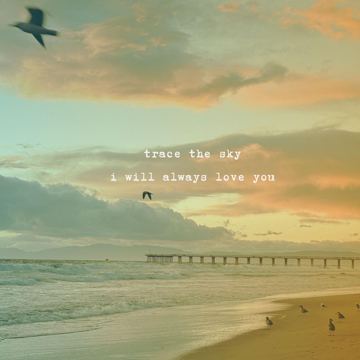 Релиз I Will Always Love You