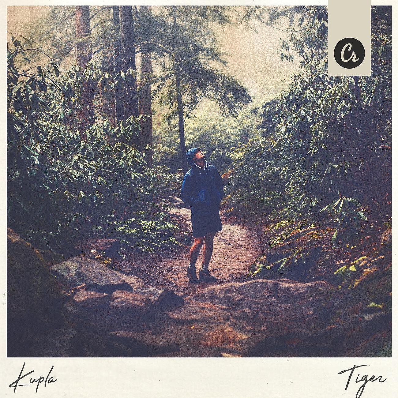 Релиз Tiger