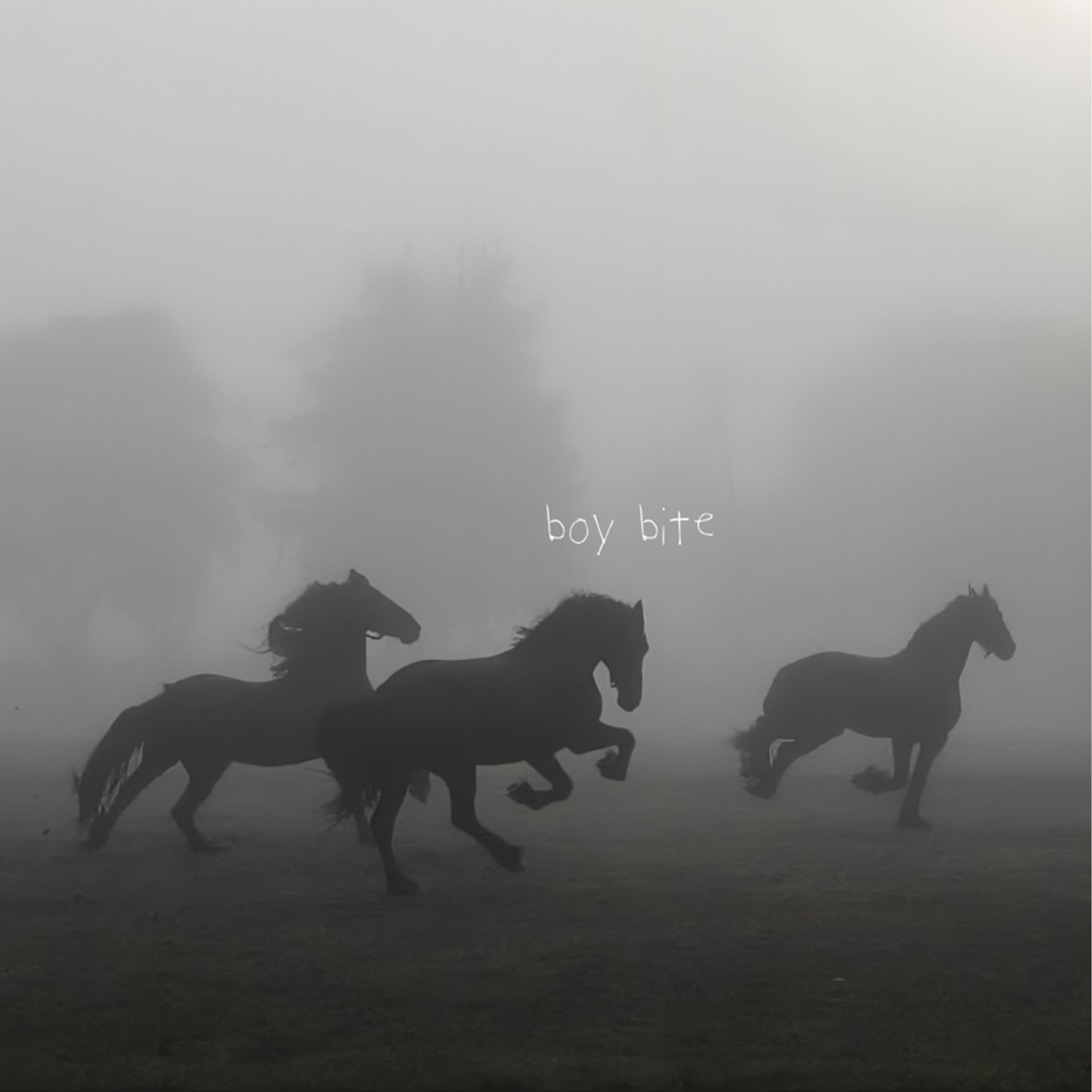 Релиз boy bite