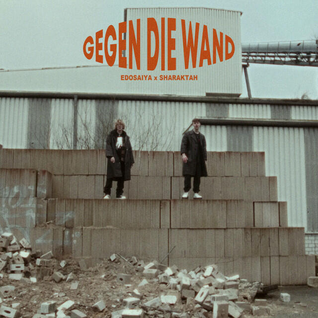Релиз Gegen Die Wand