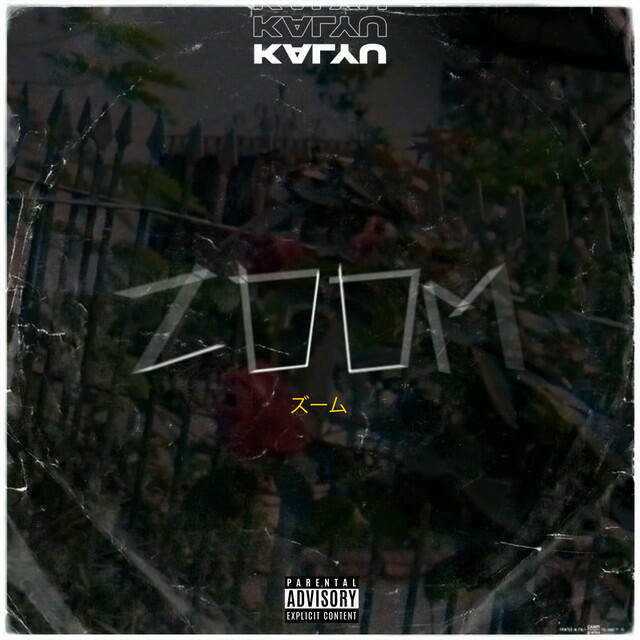 Релиз Zoom