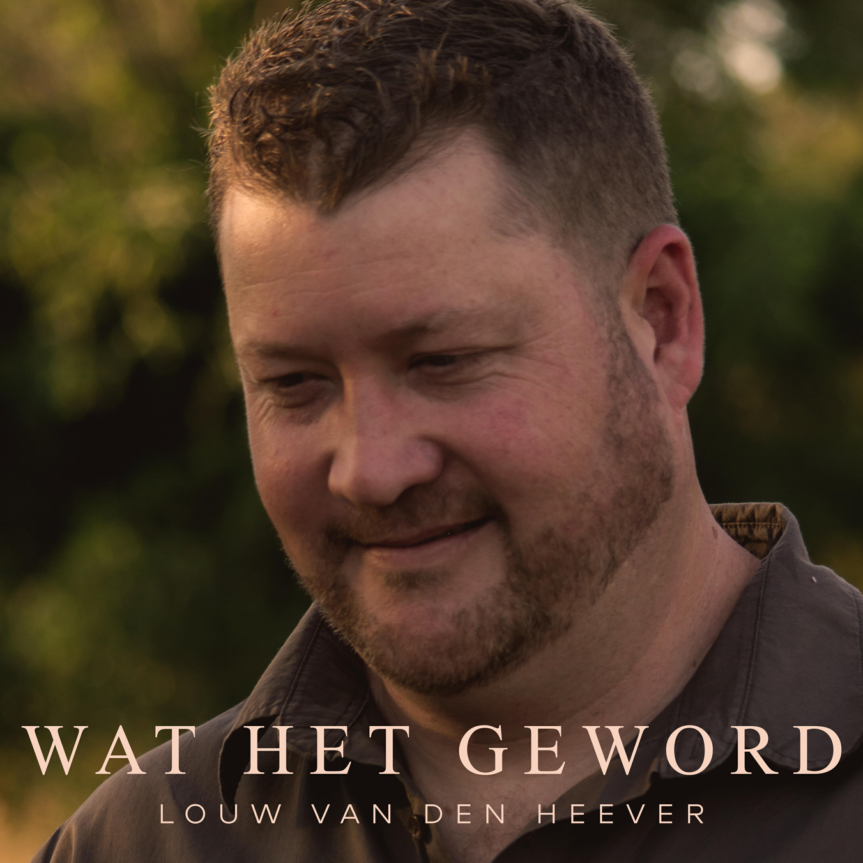 Релиз Wat Het Geword