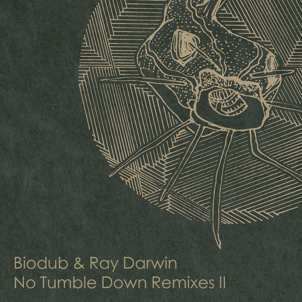 Релиз No Tumble Down Remixes 2