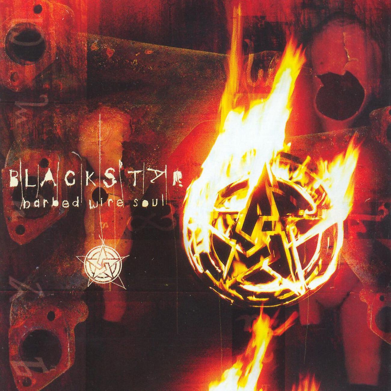 Релиз Barbed Wire Soul