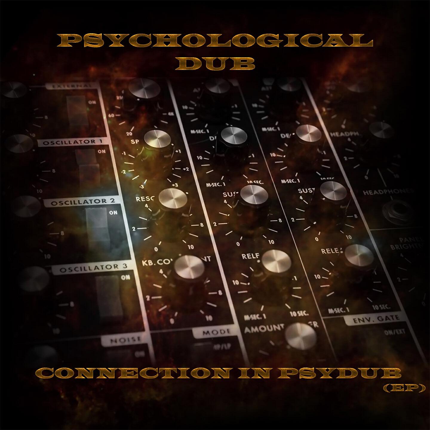 Релиз Connection in Psydub
