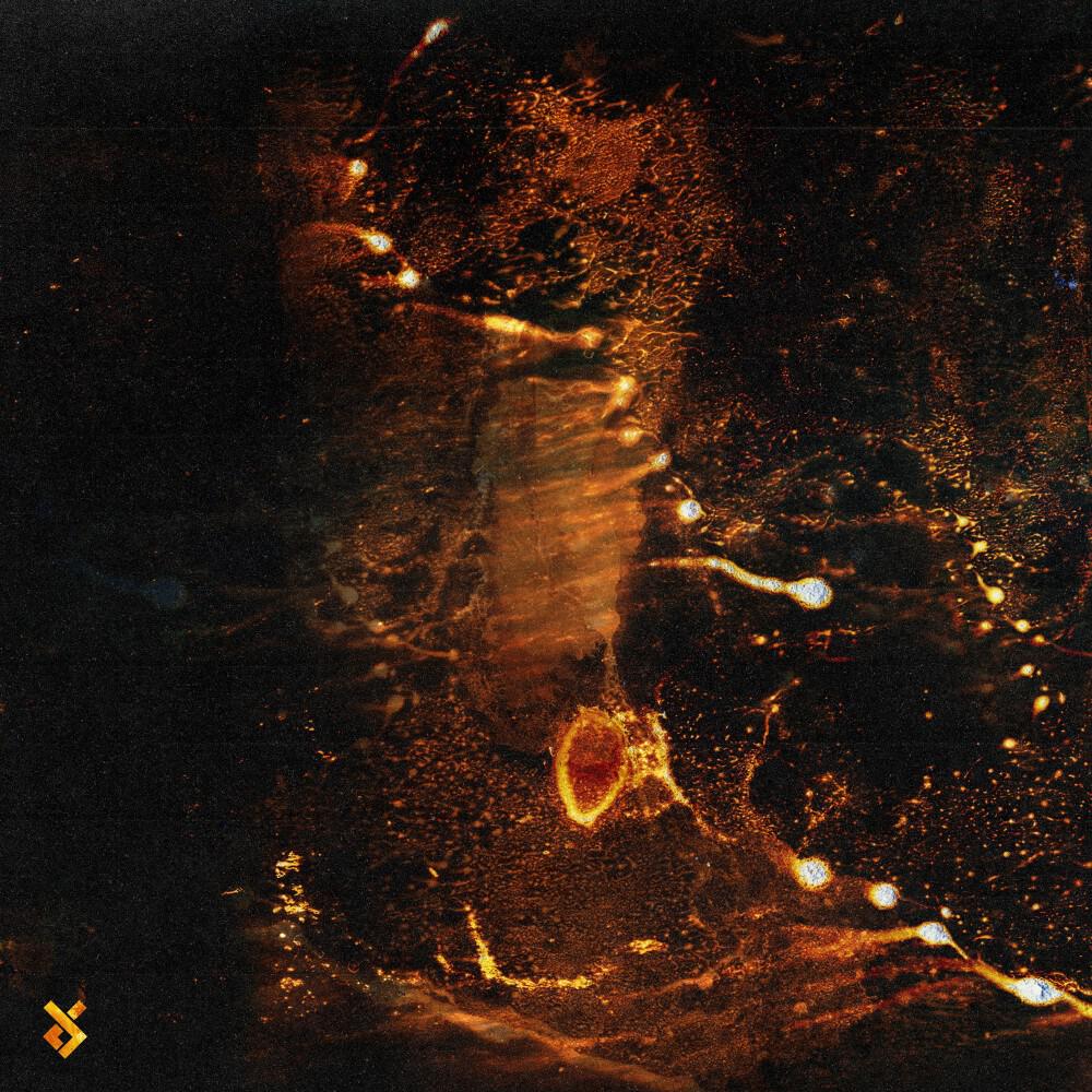 Релиз Diffusion