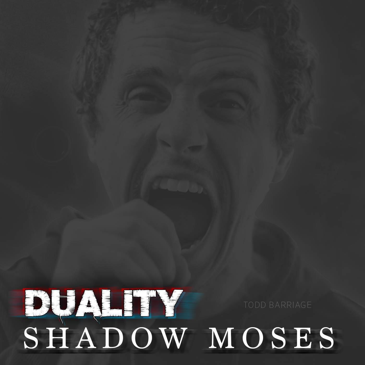 Релиз Duality / Shadow Moses