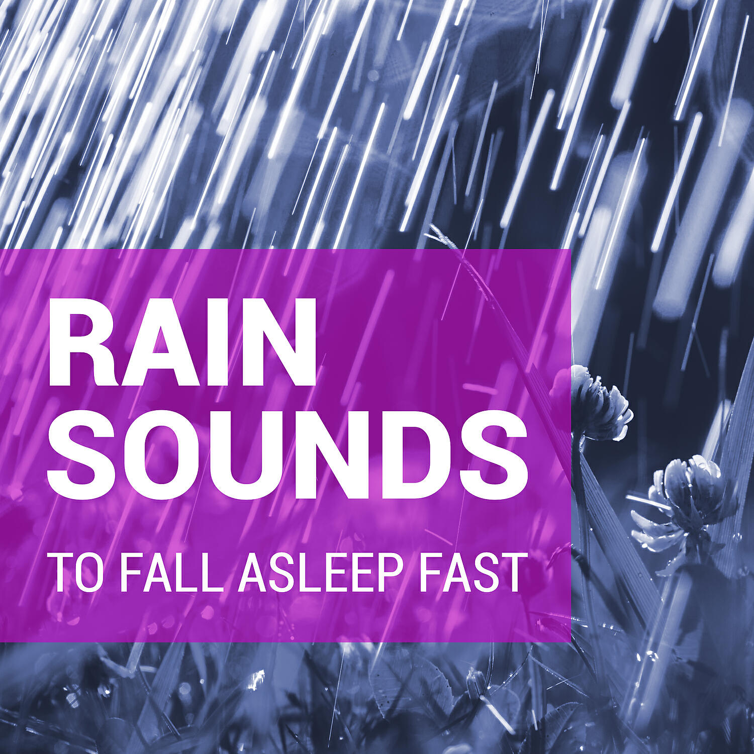 Релиз Rain Sounds to Fall Asleep Fast