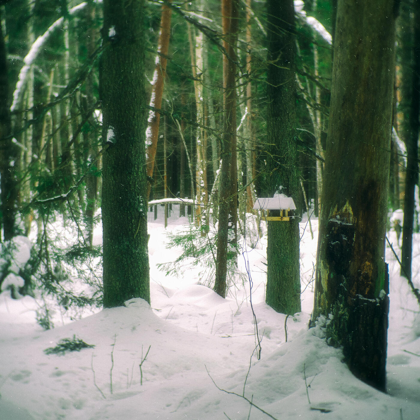 Релиз Drifting Between Seasons