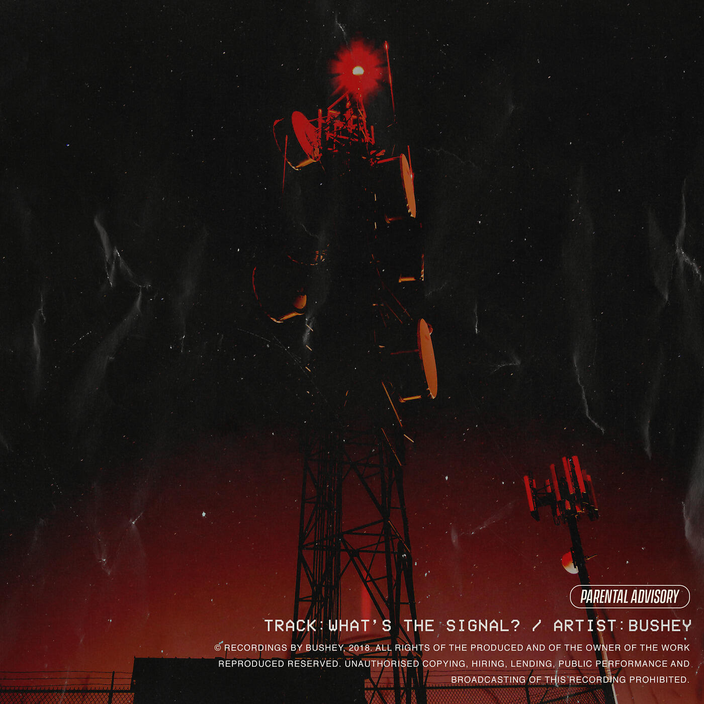 Релиз What's the Signal?