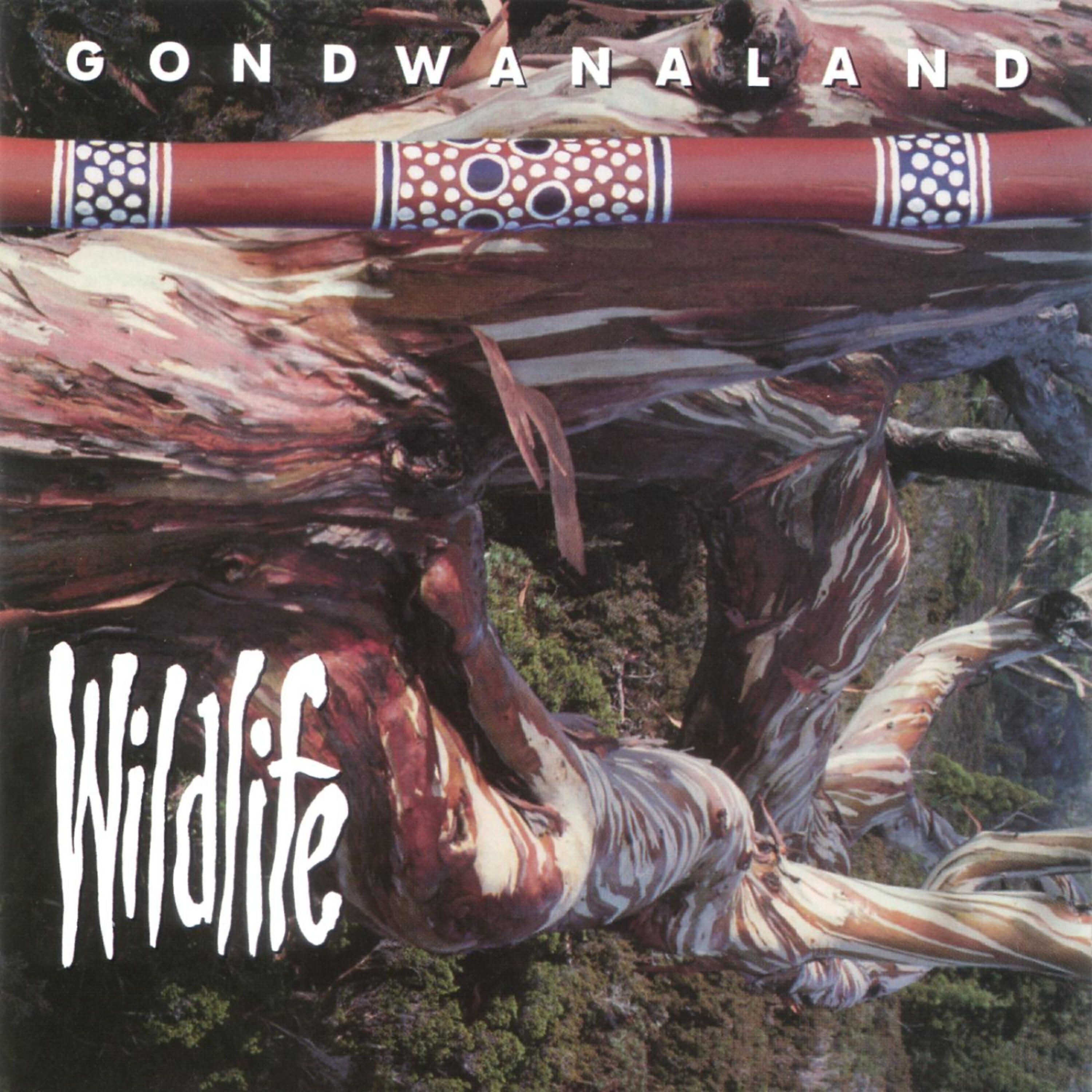 Релиз Wildlife