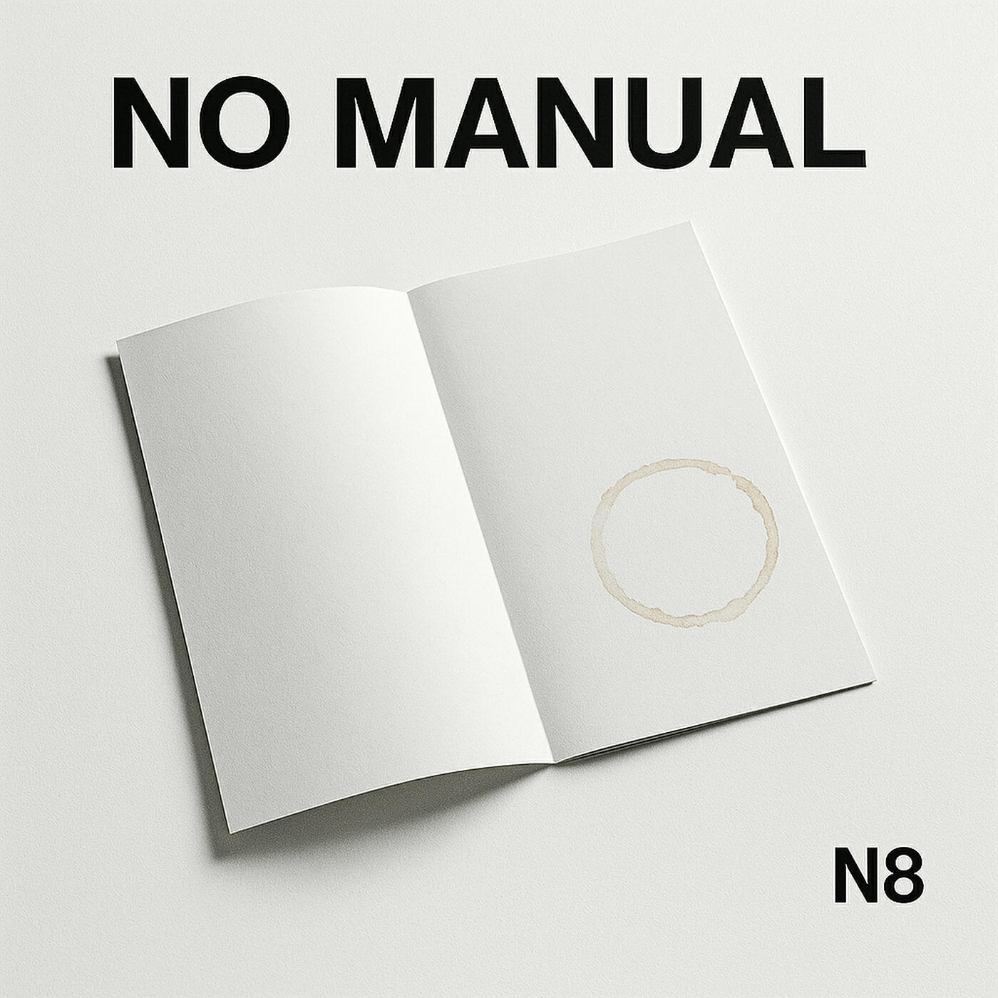 Релиз No Manual
