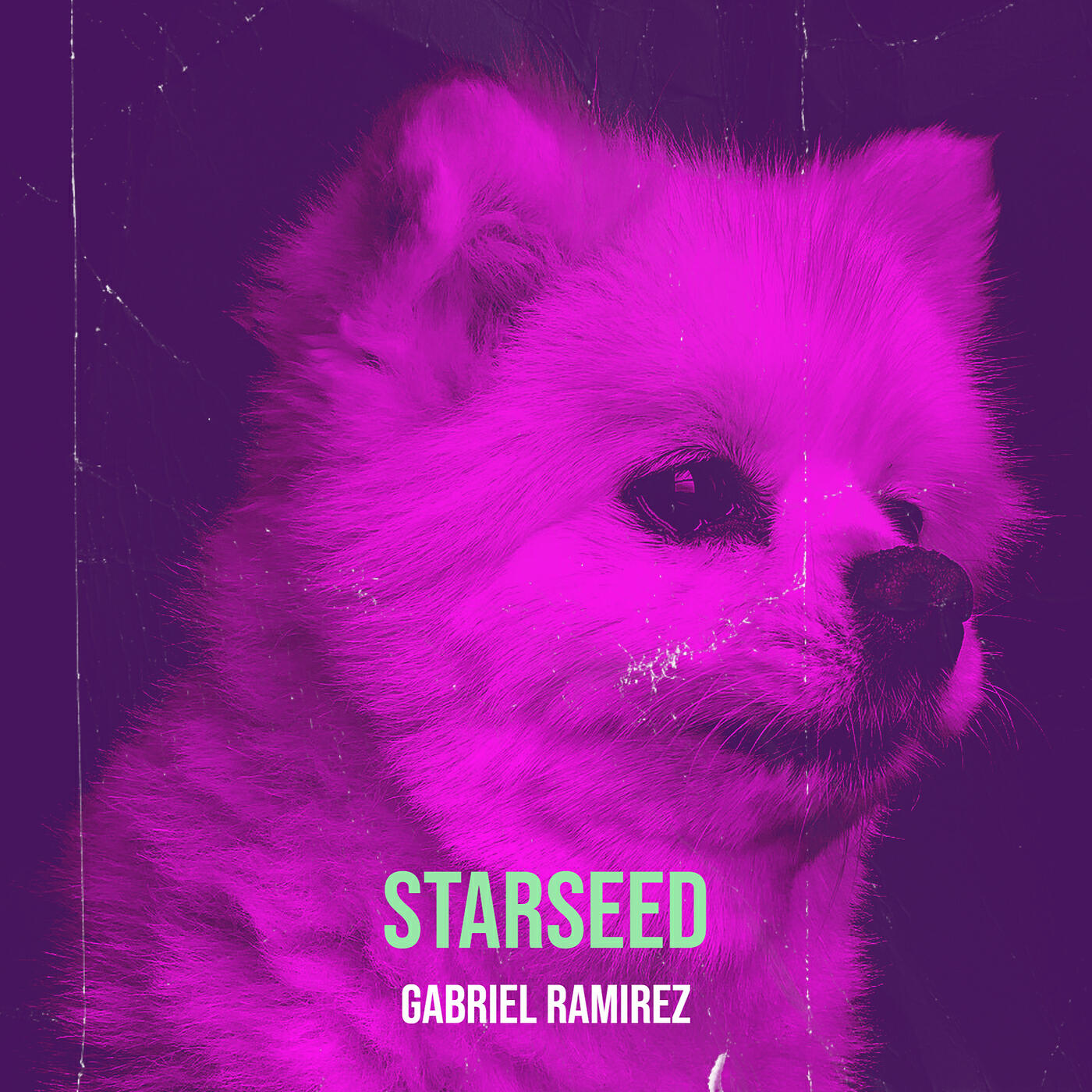 Релиз Starseed