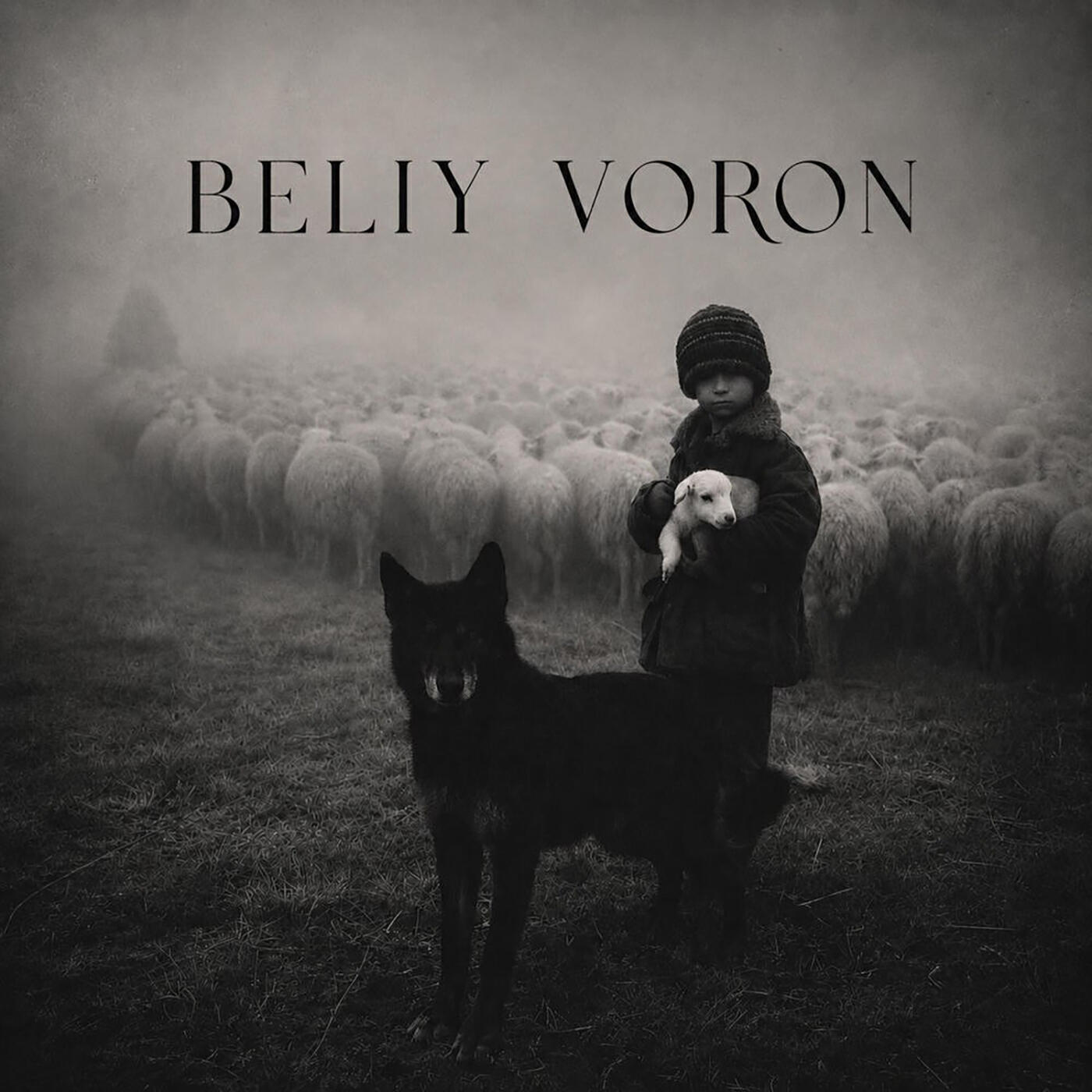 Релиз BELIY VORON