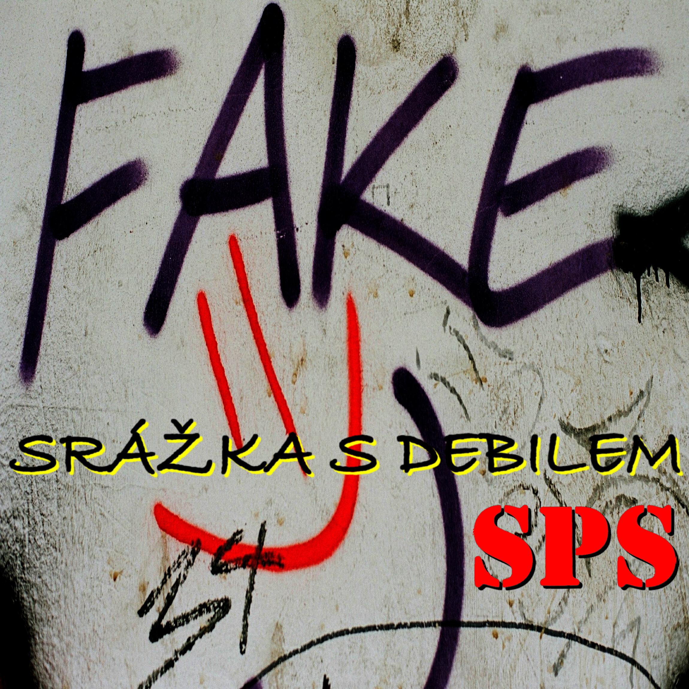 Релиз Srážka s debilem