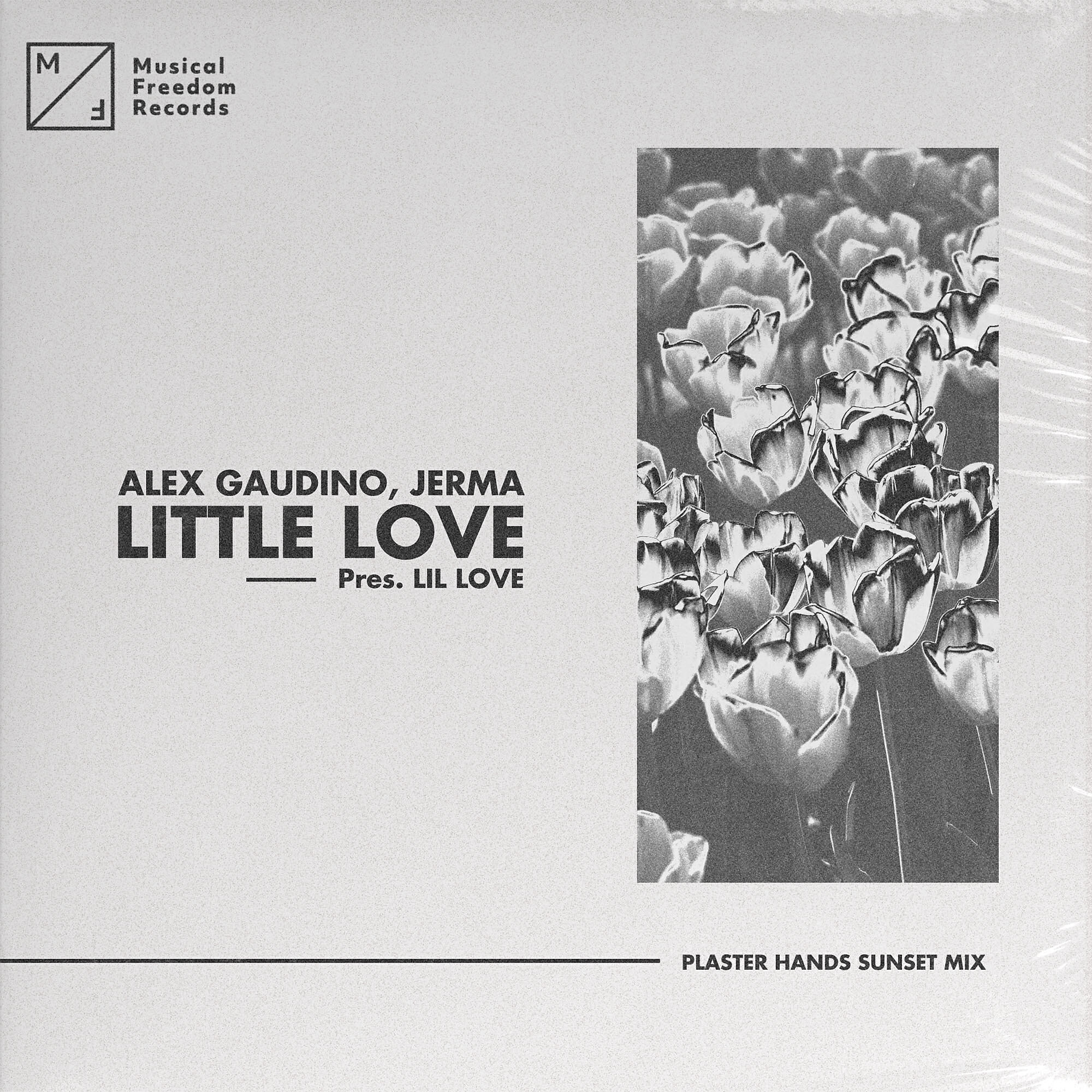 Релиз Little Love (pres. Lil' Love) [Plaster Hands Sunset Mix]
