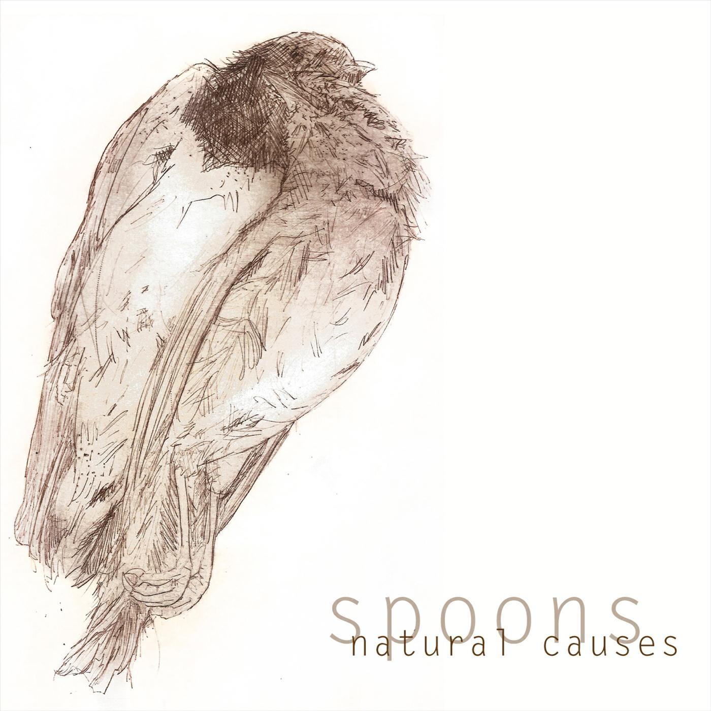 Релиз Spoons