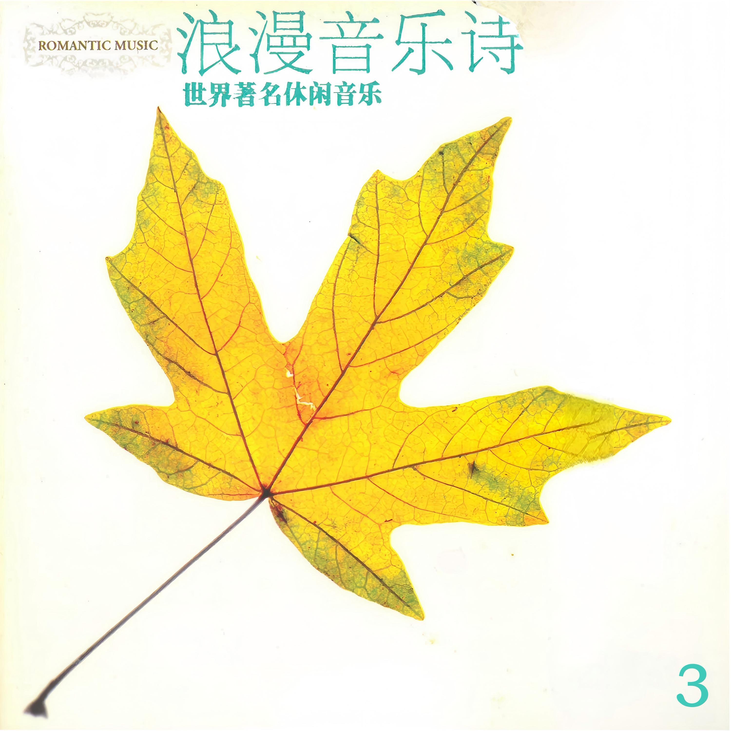 Релиз 世界著名休闲音乐 浪漫音乐诗 3