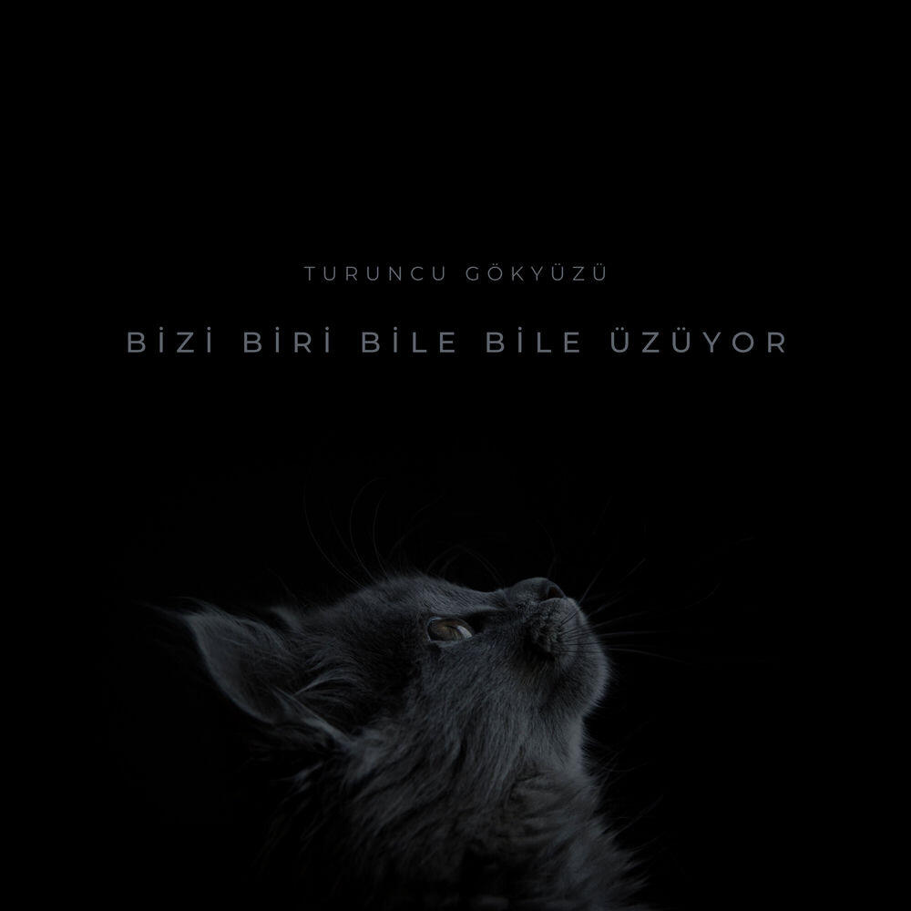 Релиз bizi biri bile bile üzüyor