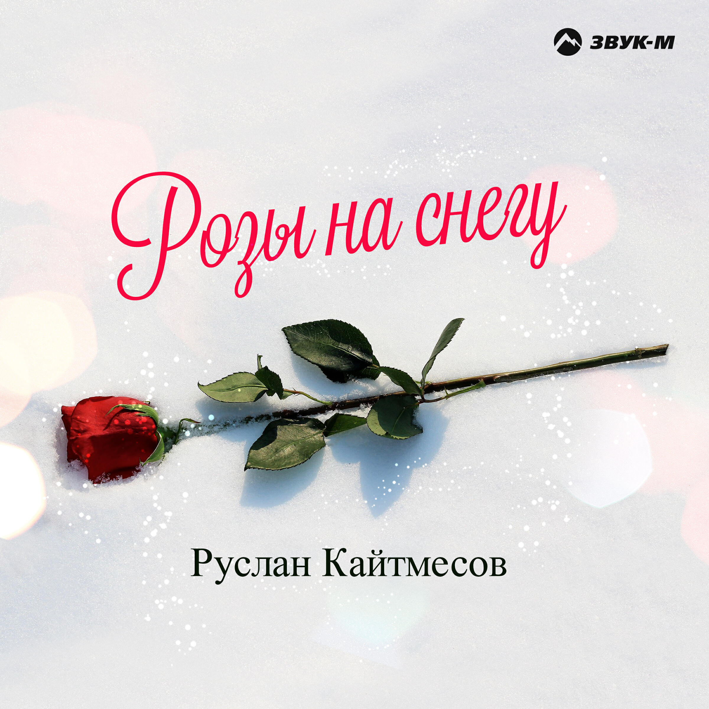 Релиз Розы на снегу