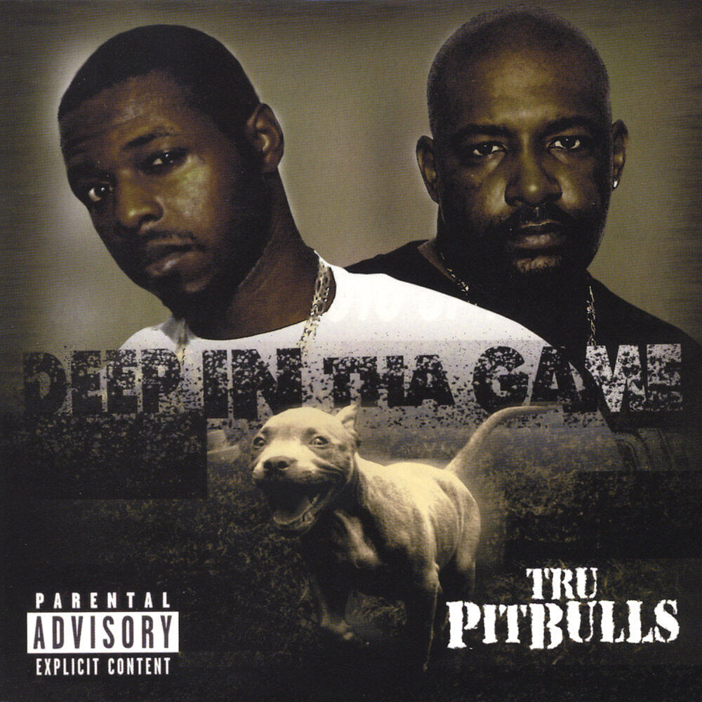 Релиз Deep In Tha Game