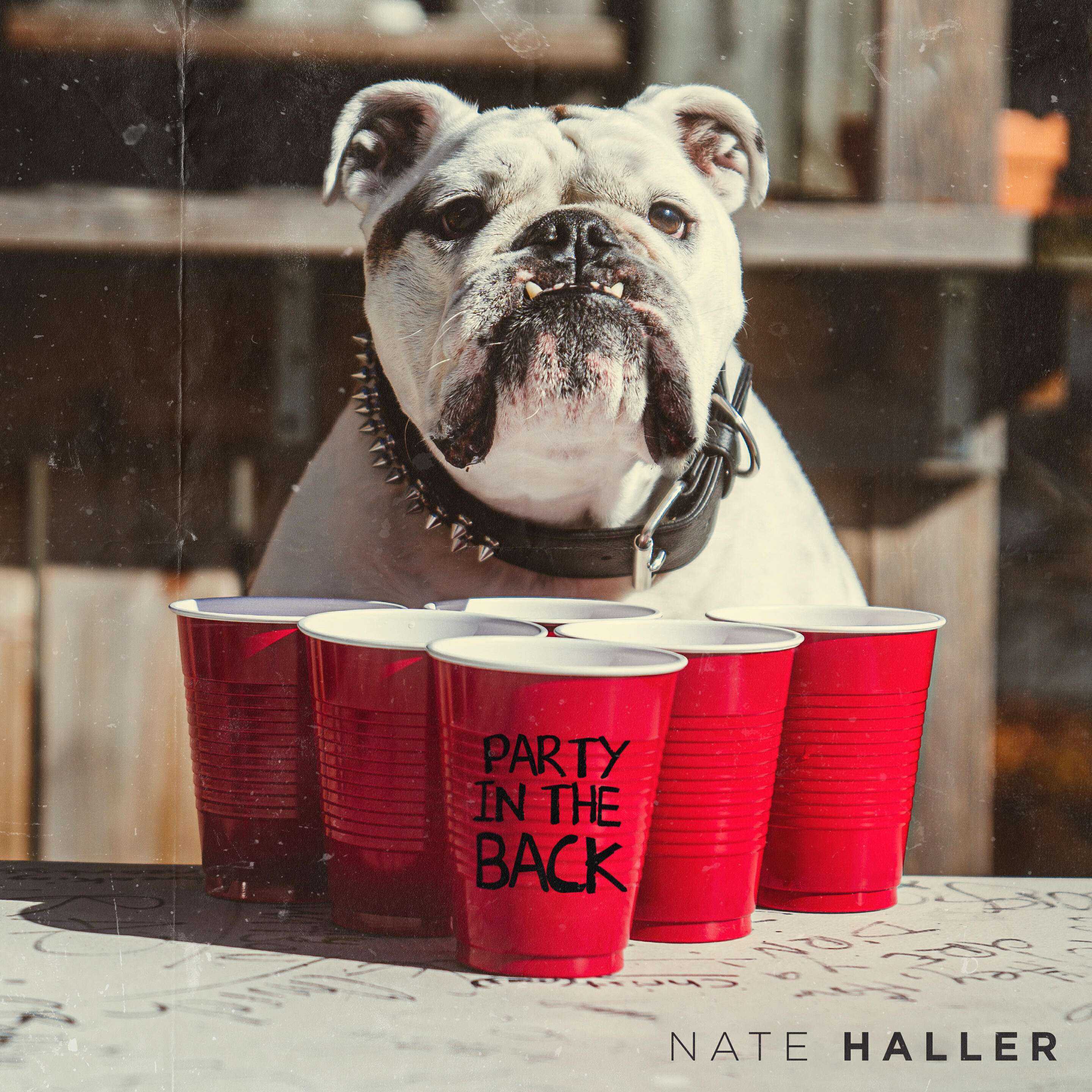 Релиз Party In The Back