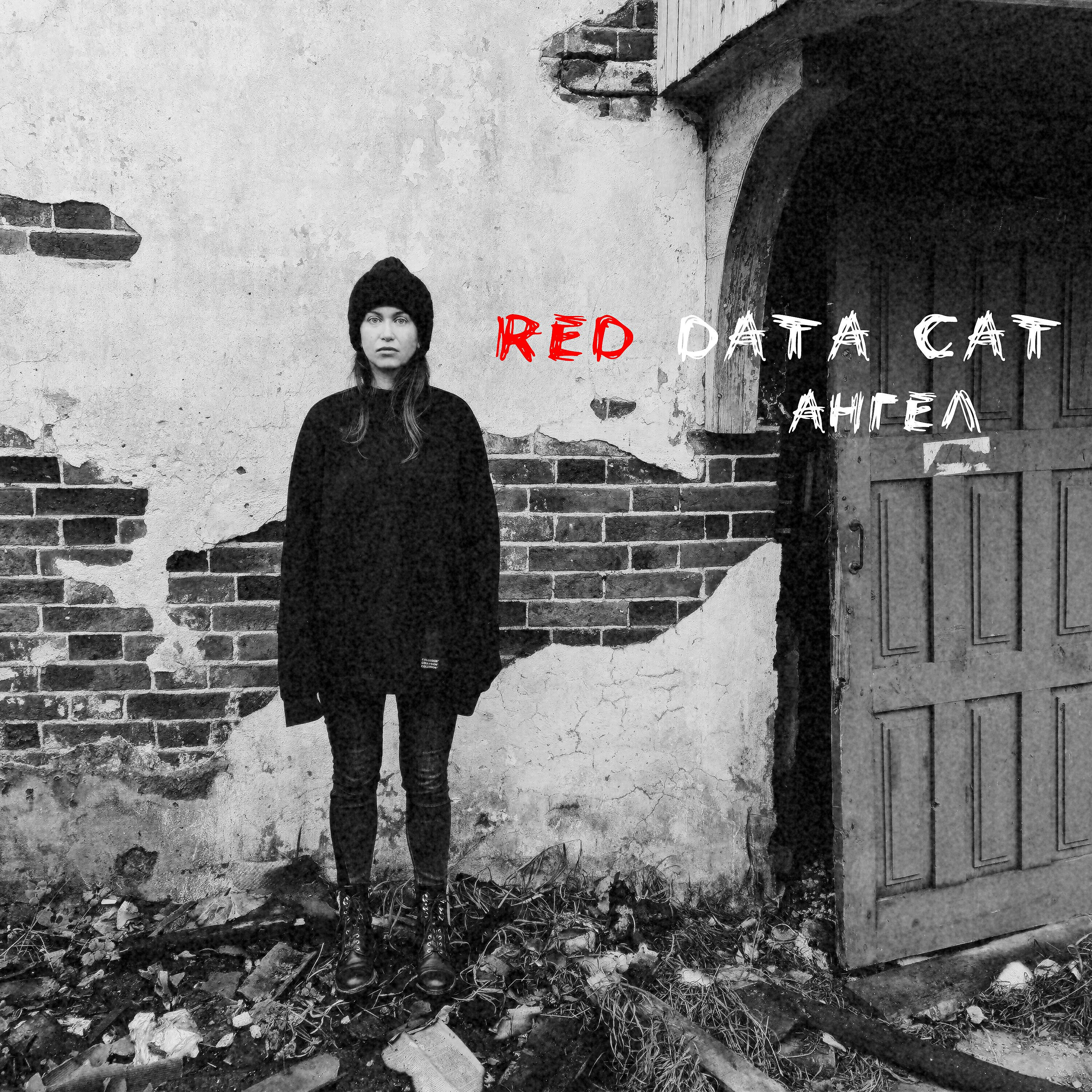 Red Data Cat