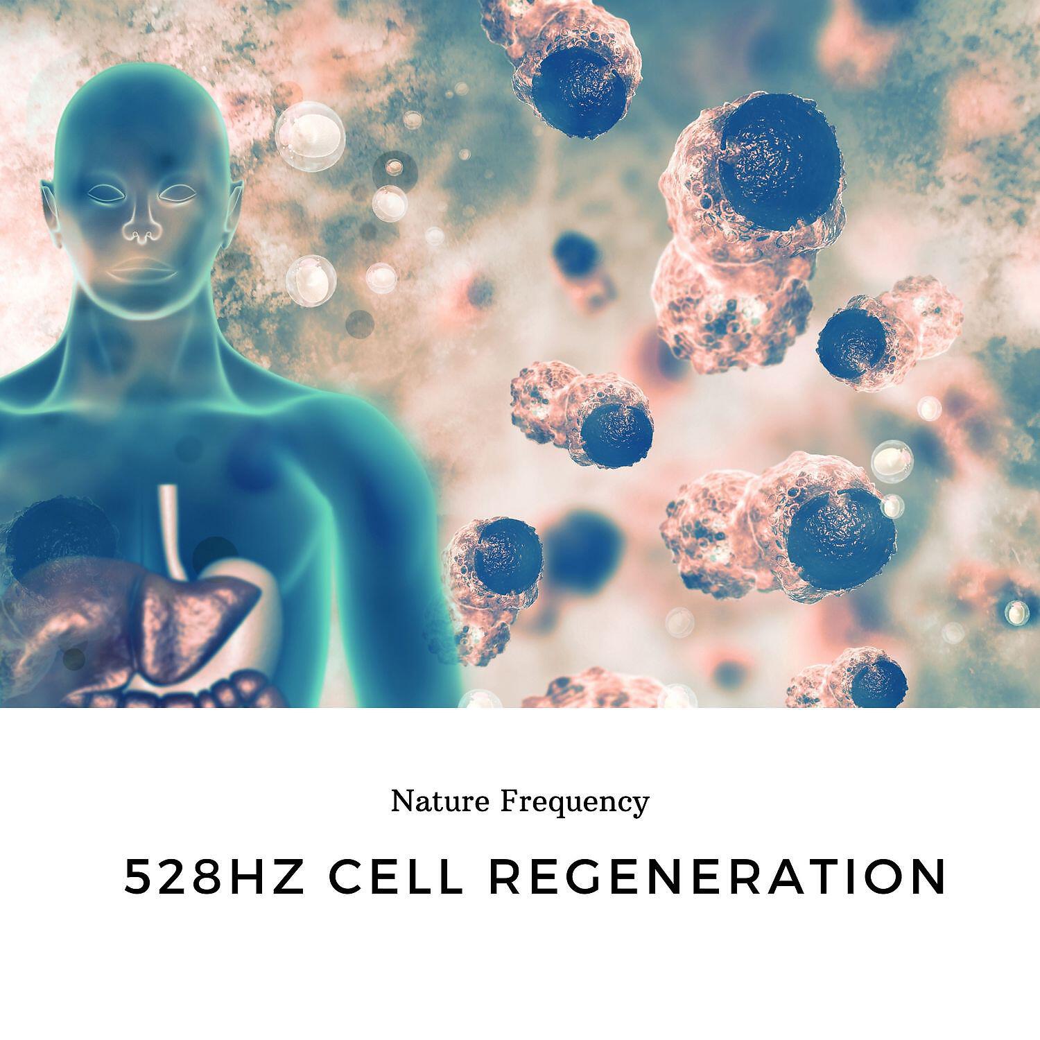 Релиз 528hz Cell Regeneration, Background Music