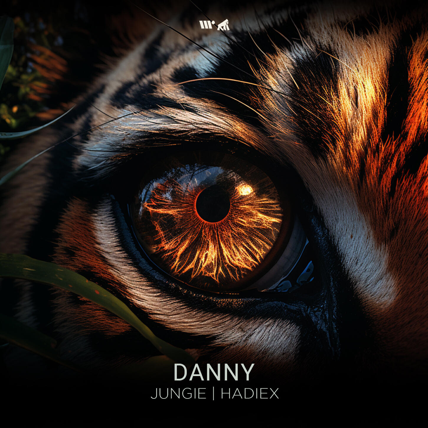 Релиз Danny