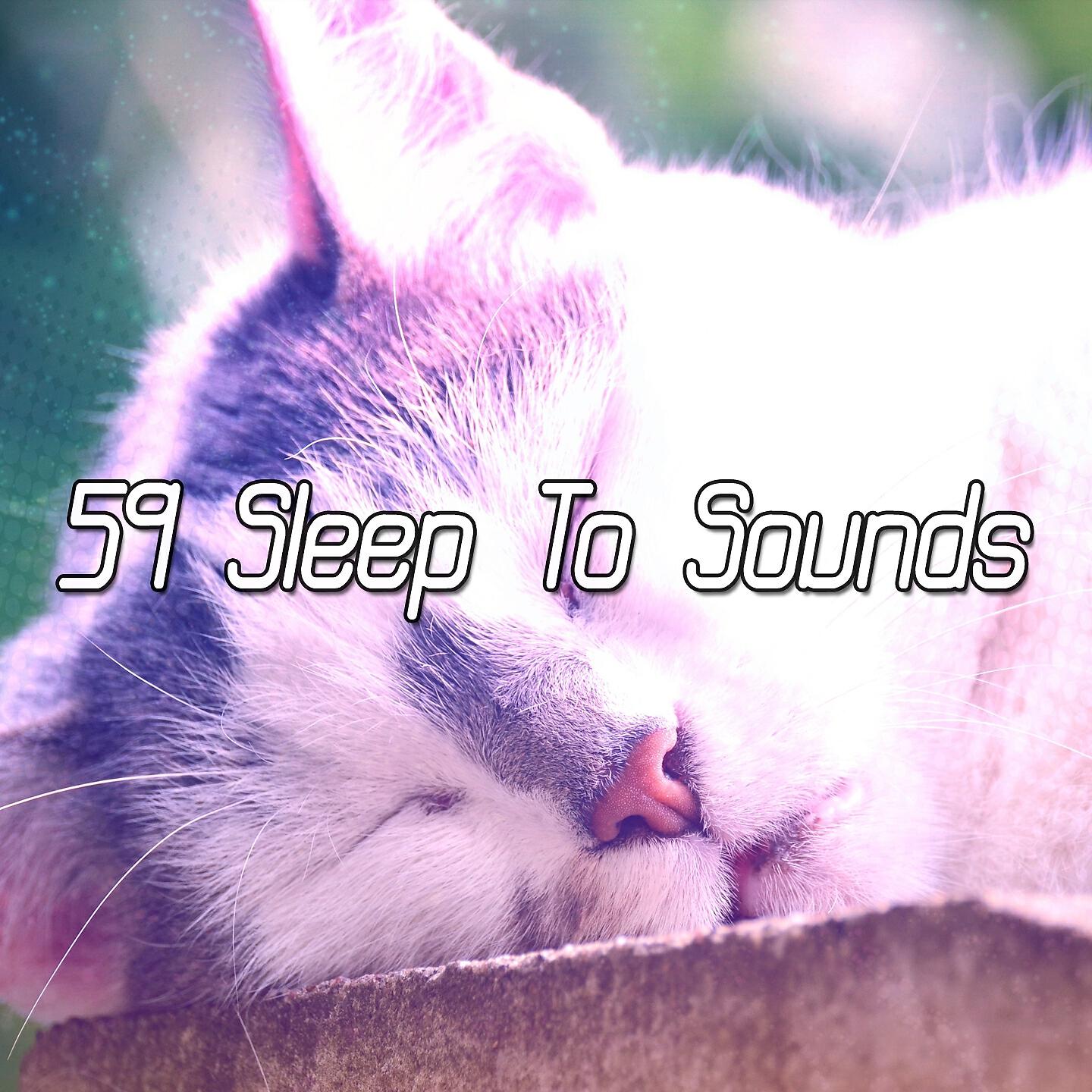 Релиз 59 Sleep To Sounds