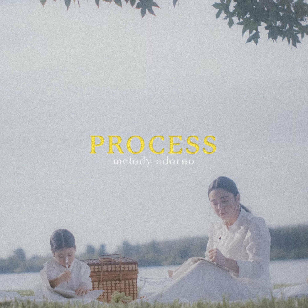 Релиз Process