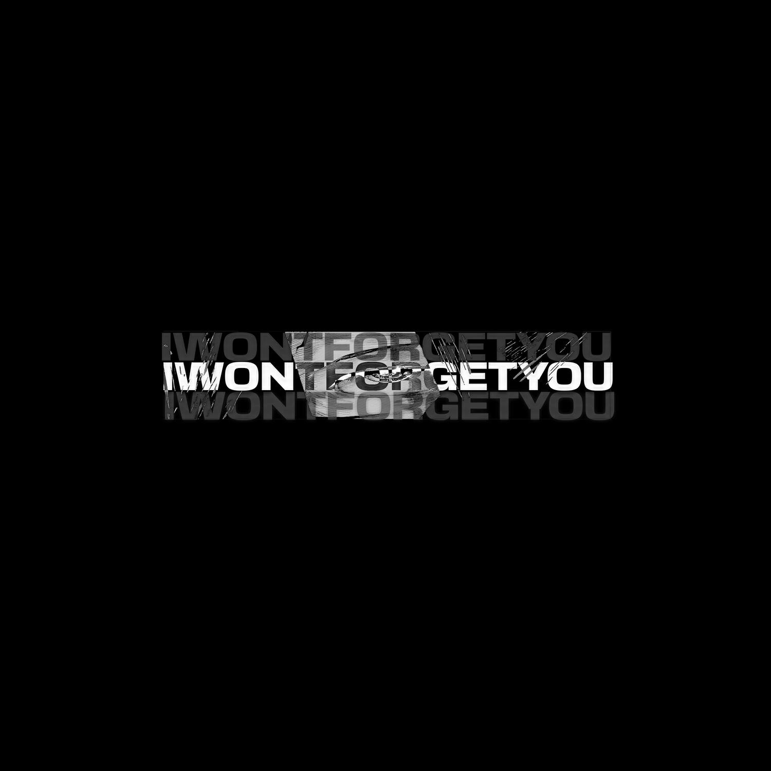Постер альбома IWONTFORGETYOU