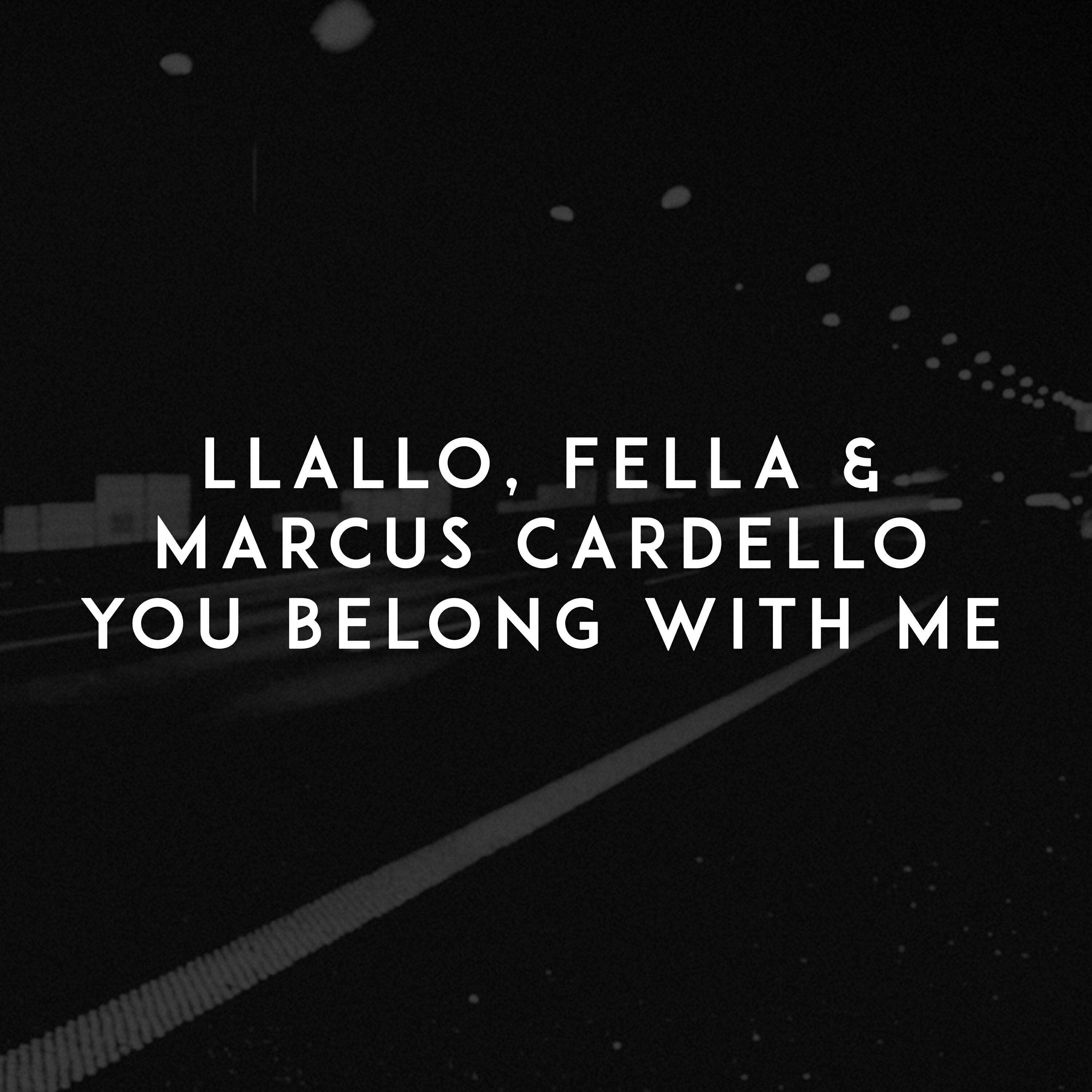 Релиз You Belong with Me