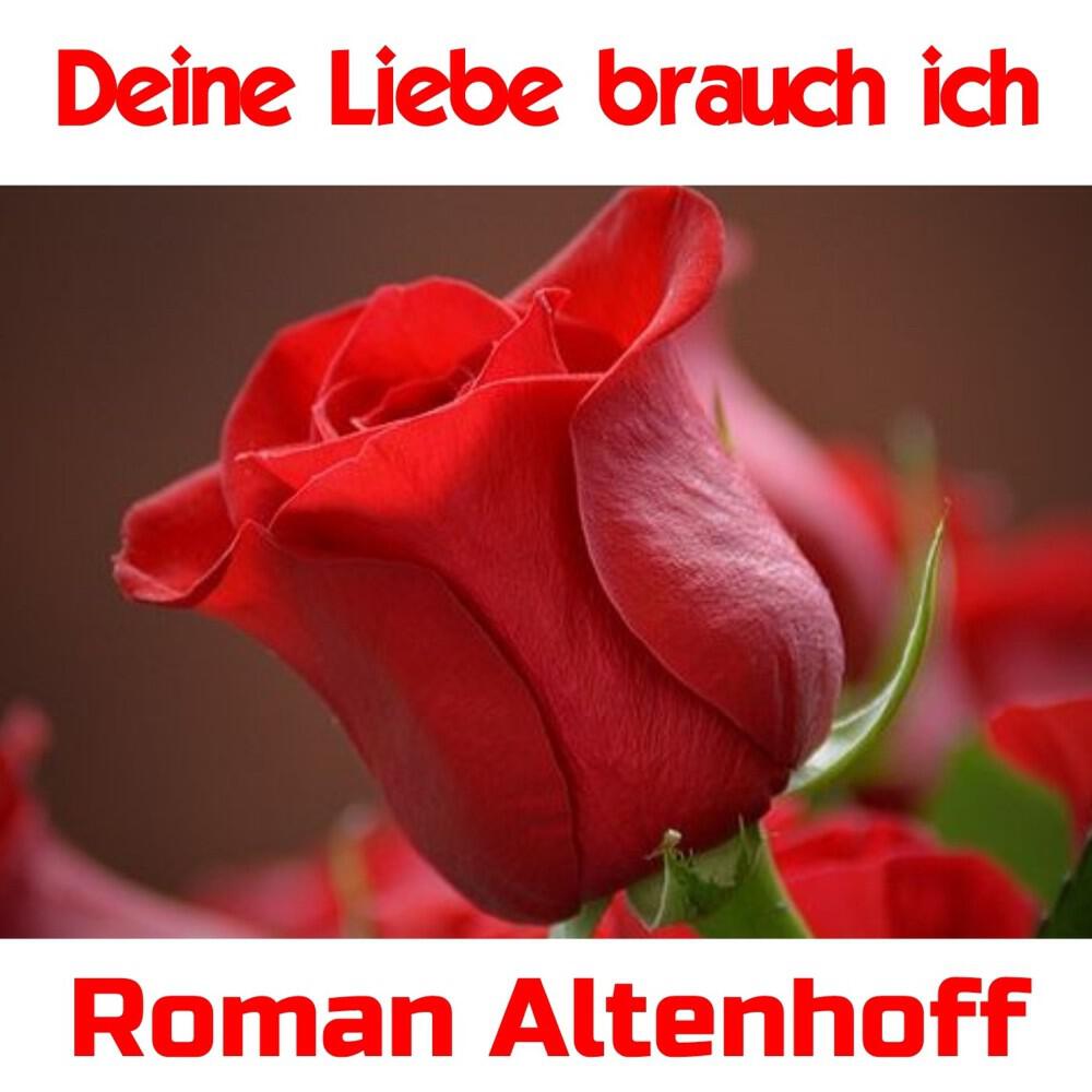 Релиз Deine Liebe brauch ich